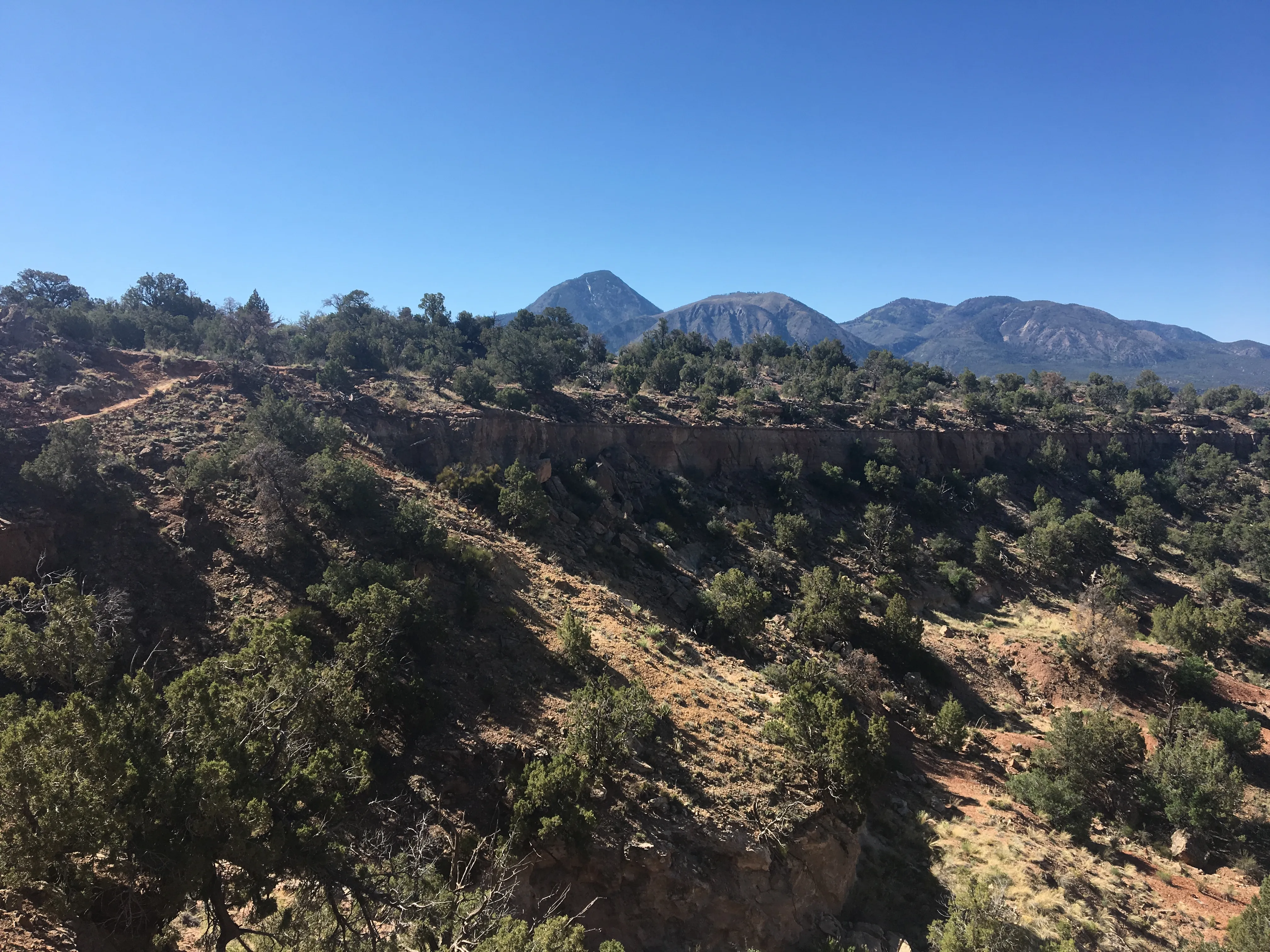 Hike Sand Canyon in Canyons of the Ancients