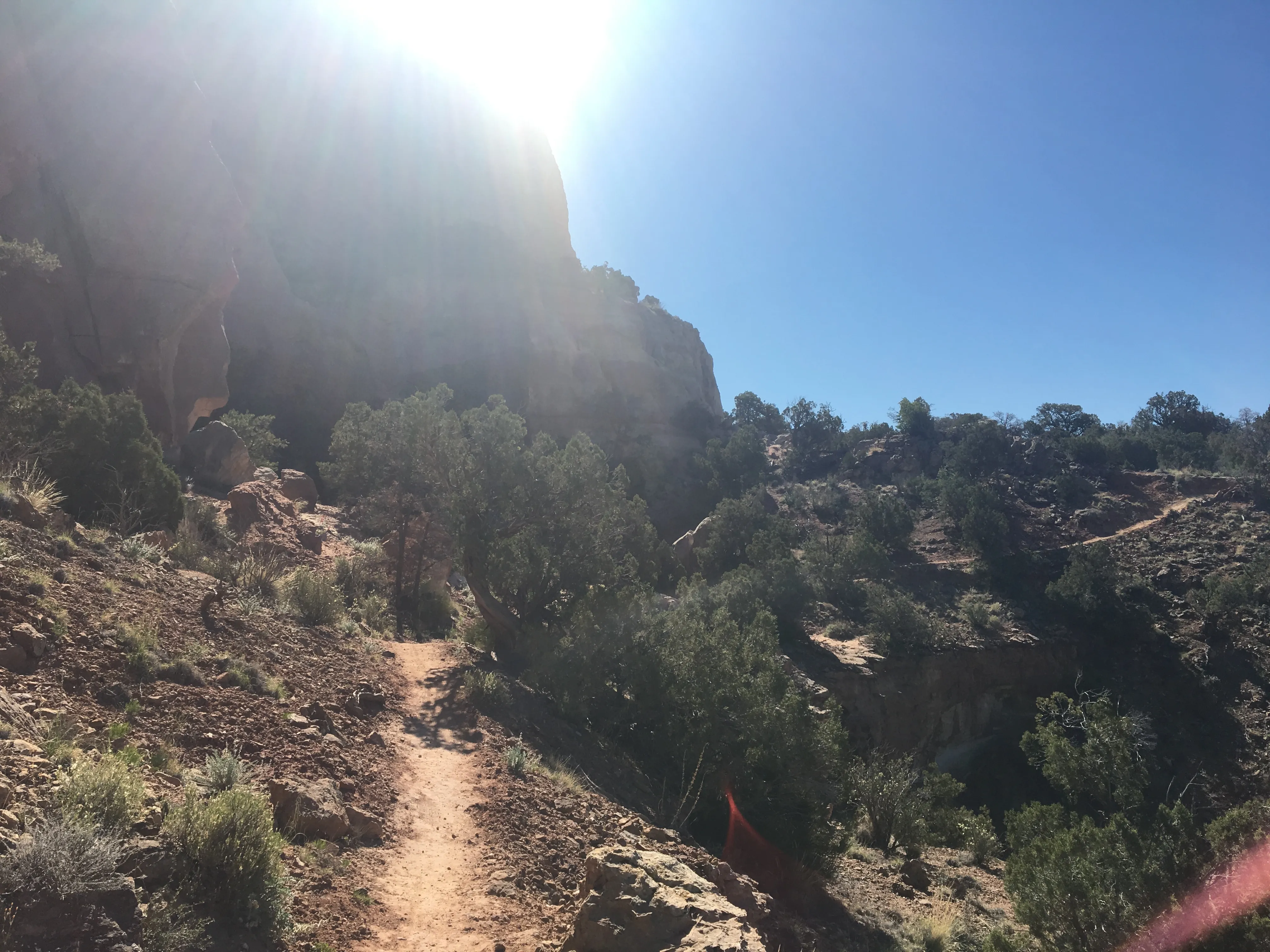 Hike Sand Canyon in Canyons of the Ancients