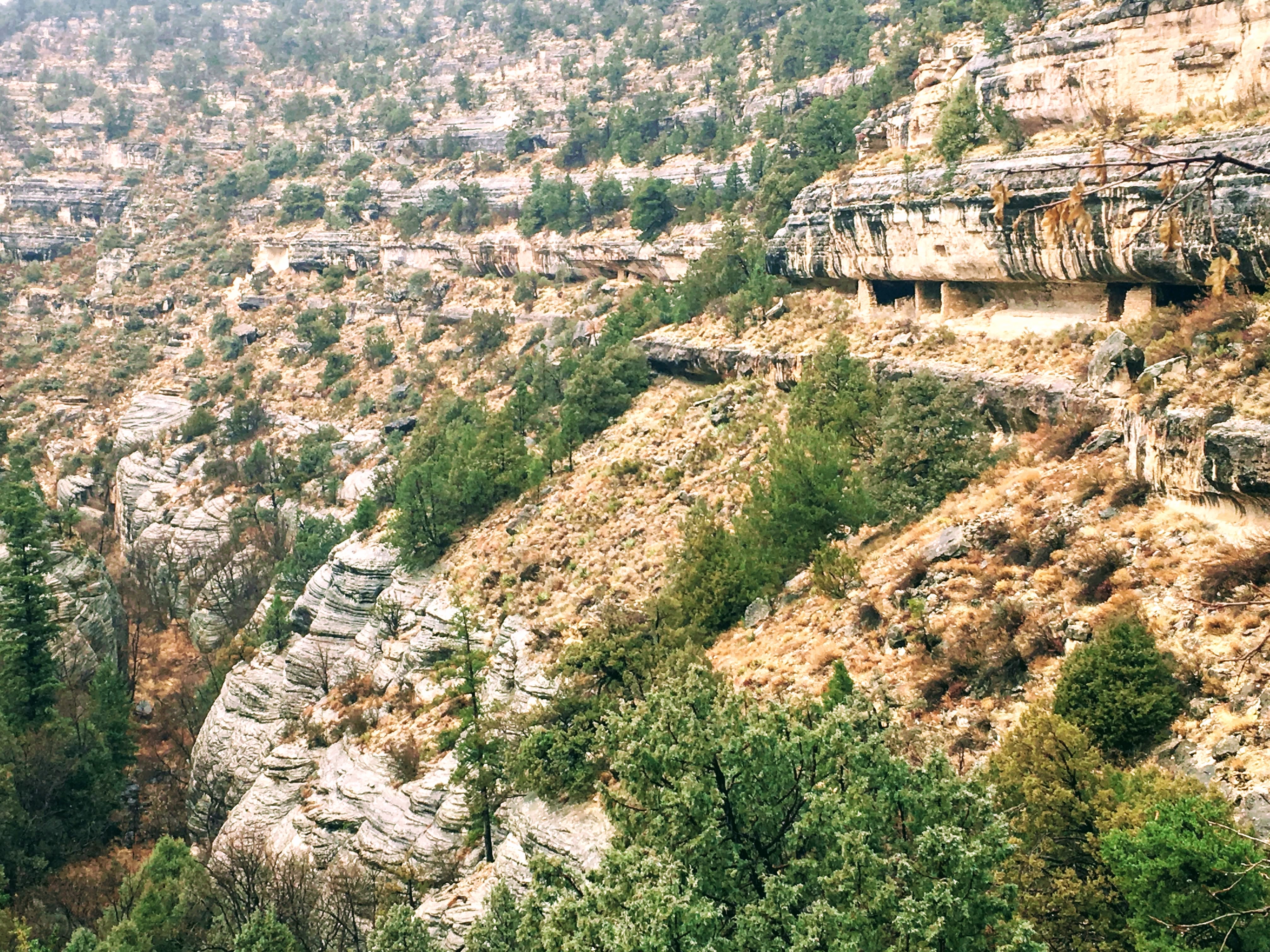 Hike the Island Trail, Walnut Canyon