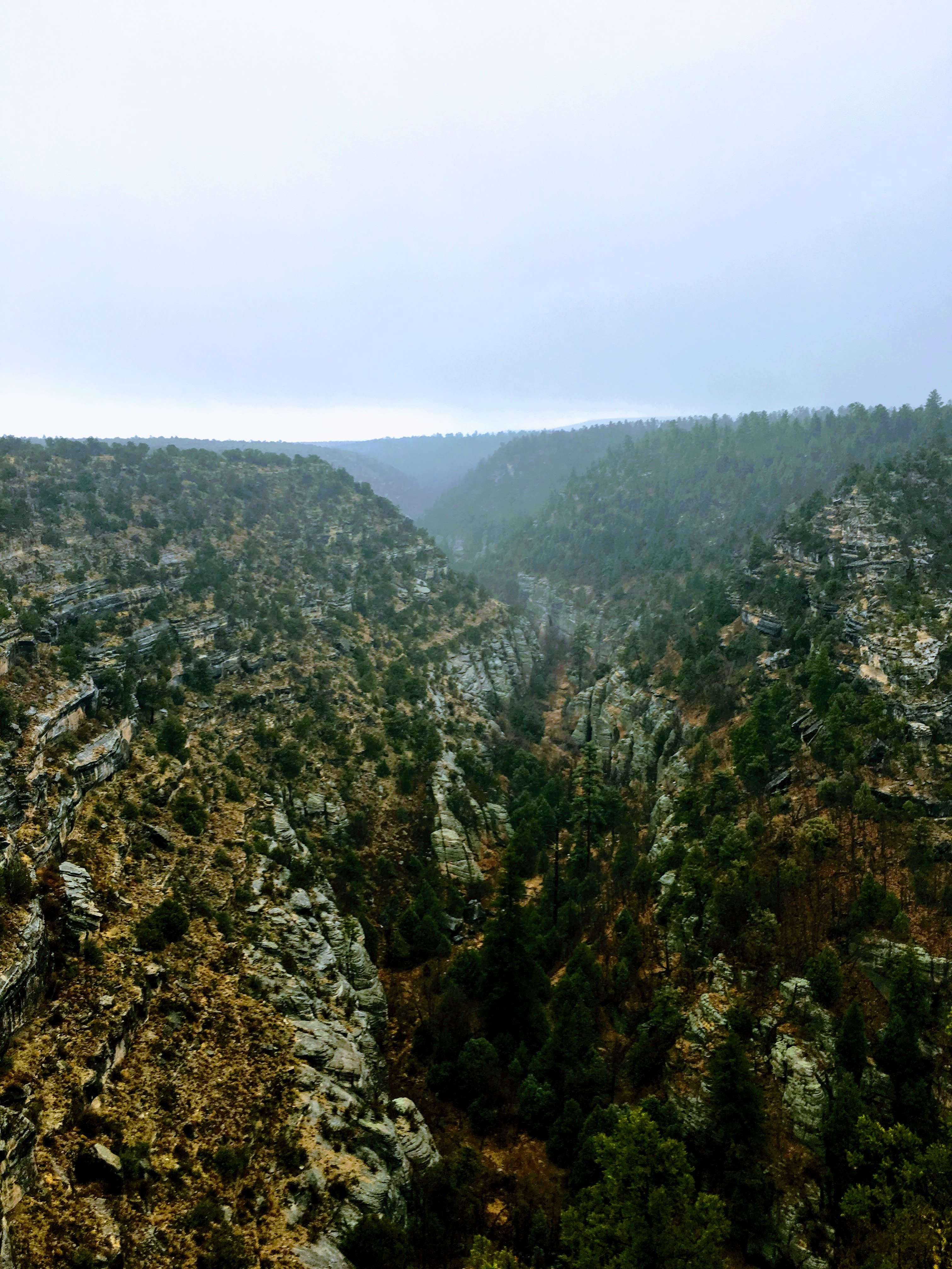 Hike the Island Trail, Walnut Canyon