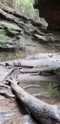 Hike the Canyons Loop of Turkey Run State Park