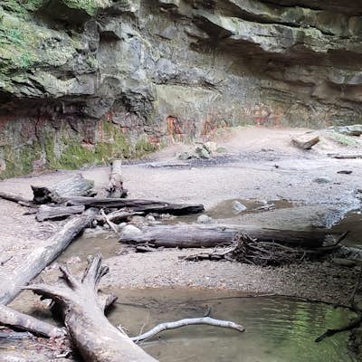 Hike the Canyons Loop of Turkey Run State Park