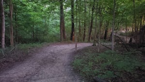 Trail Run at Sweet Arrow Reserve