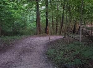 Trail Run at Sweet Arrow Reserve