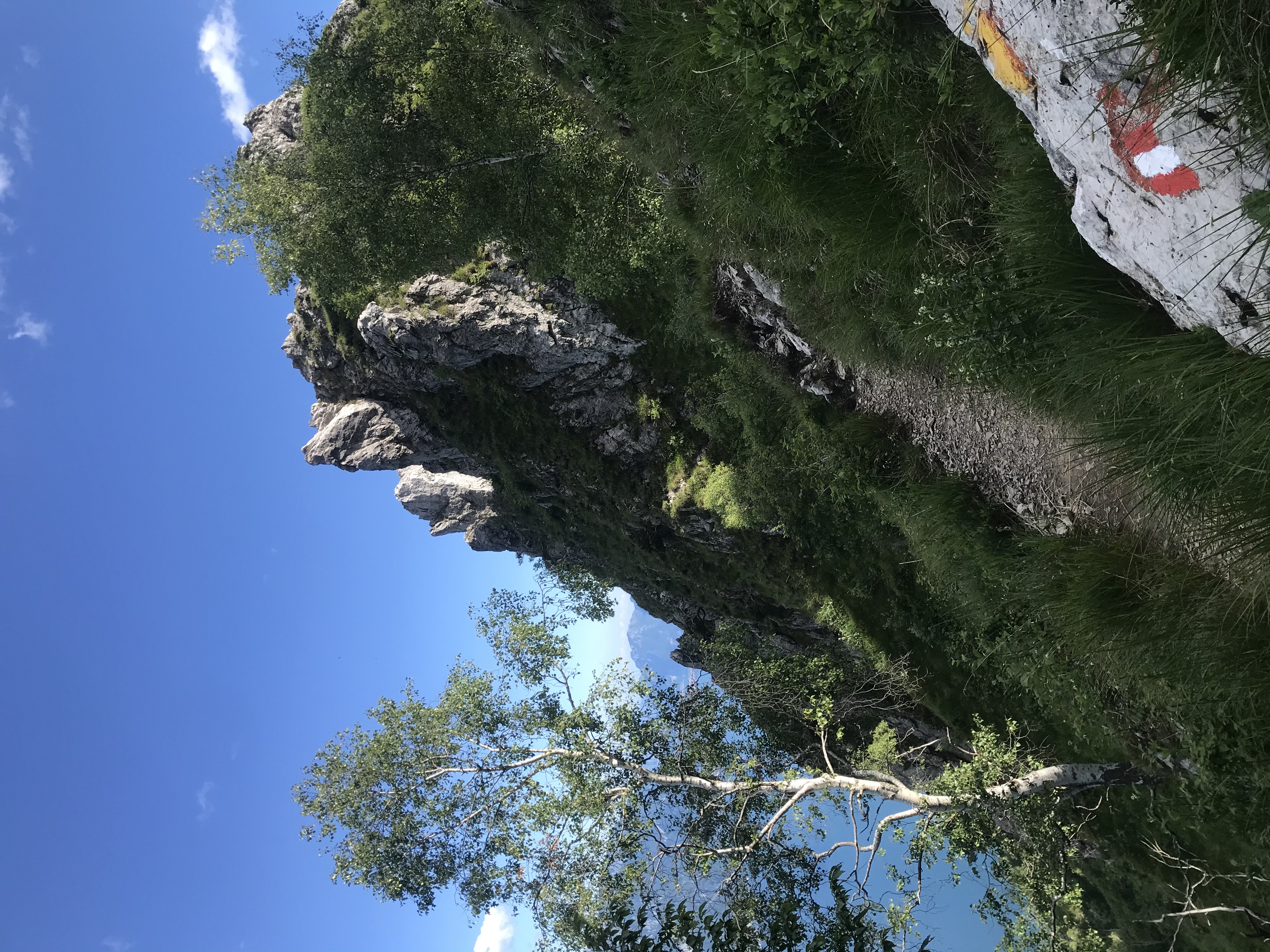 Hike Monte Grona