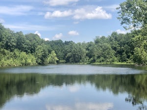 Hike the West Big Buffalo Creek Loop