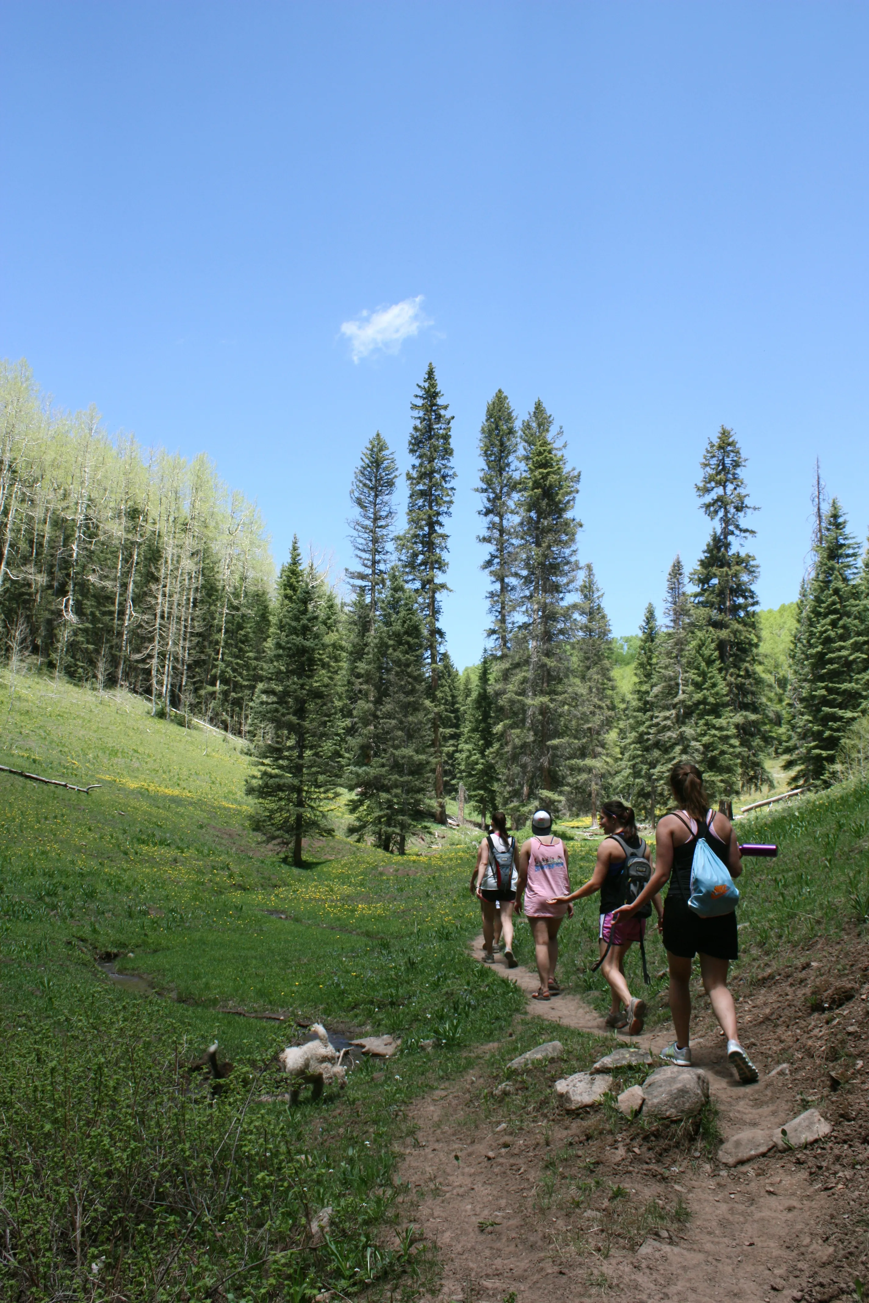 Hike Goulding Creek