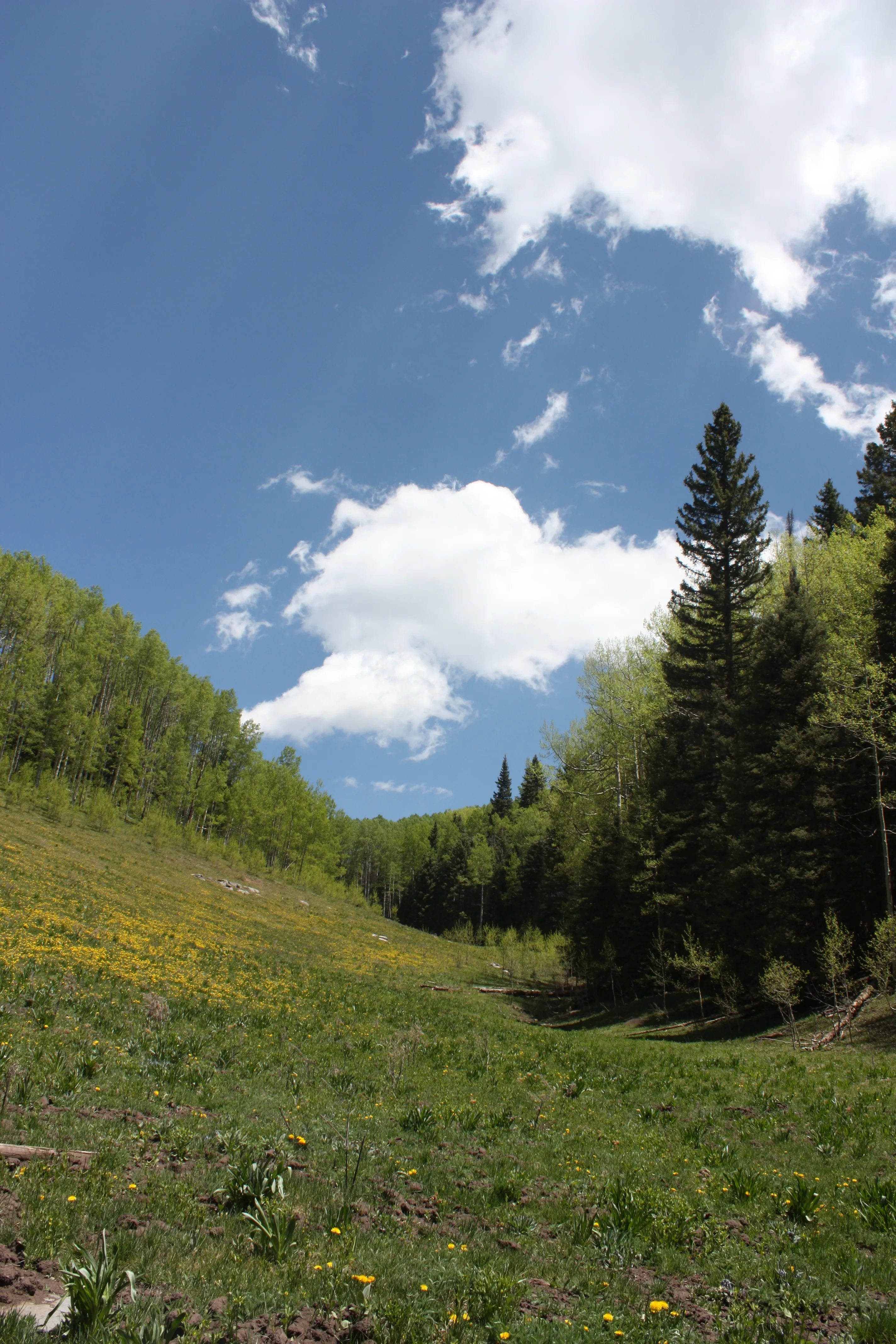 Hike Goulding Creek