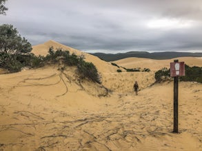 A Hiking Novice Takes on the Alexandria Trail