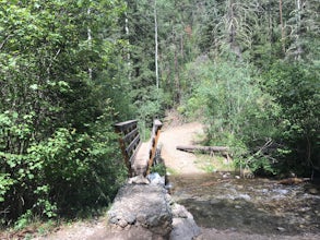 Hike Colombine Trail