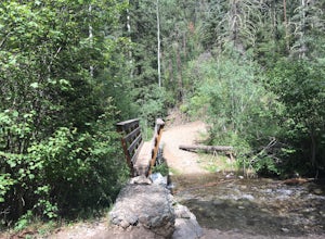 Hike Colombine Trail