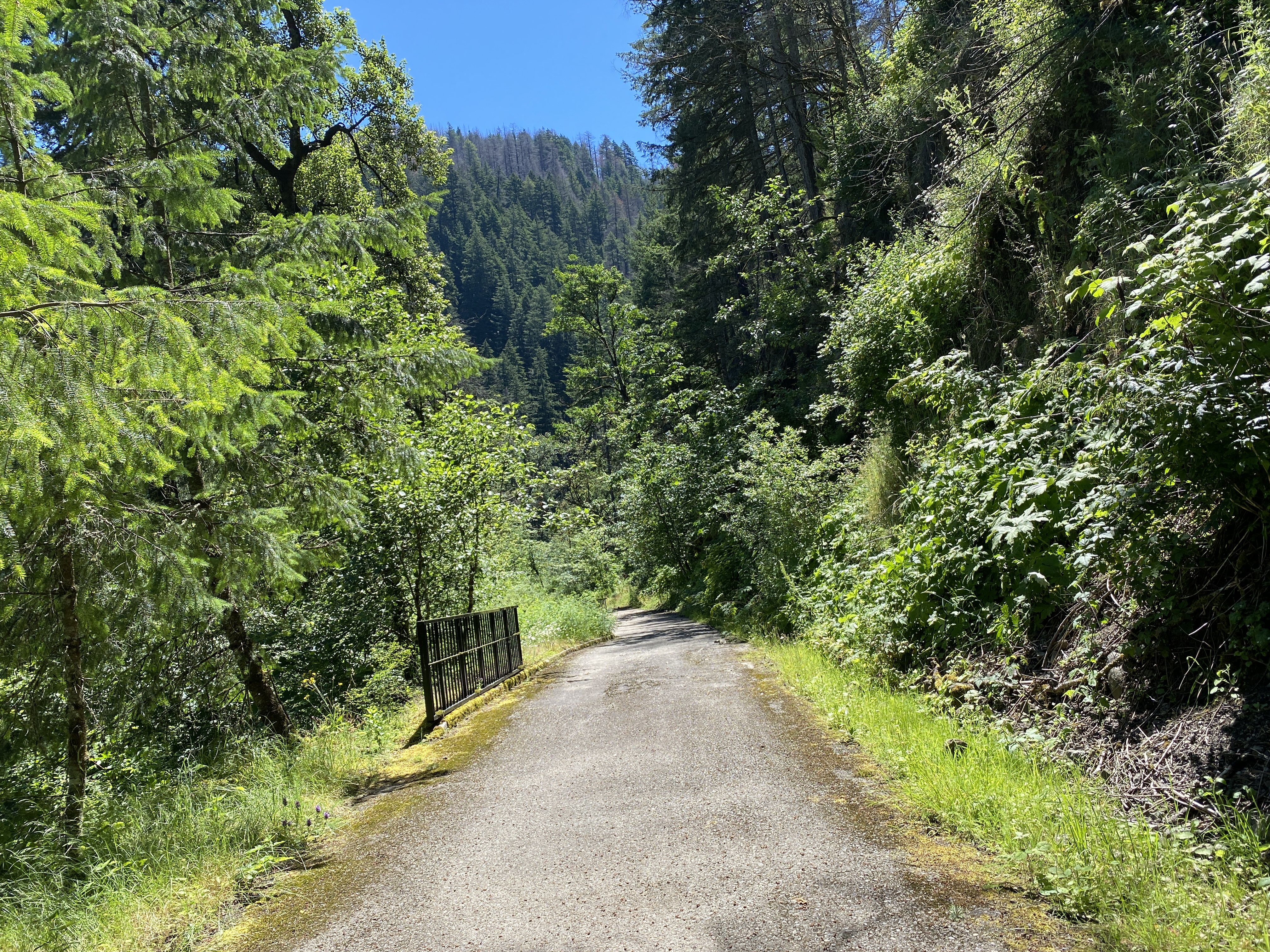 Munra Point