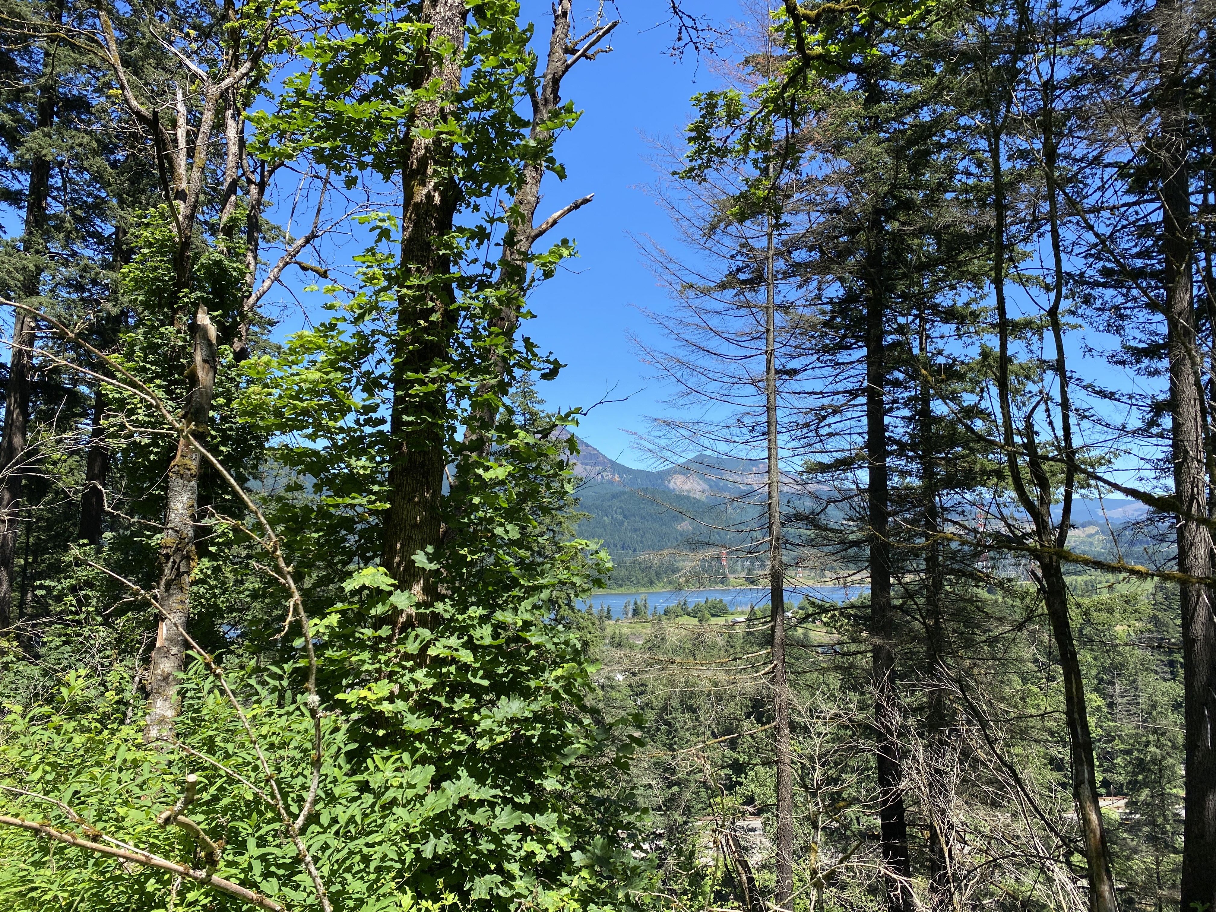 Munra Point