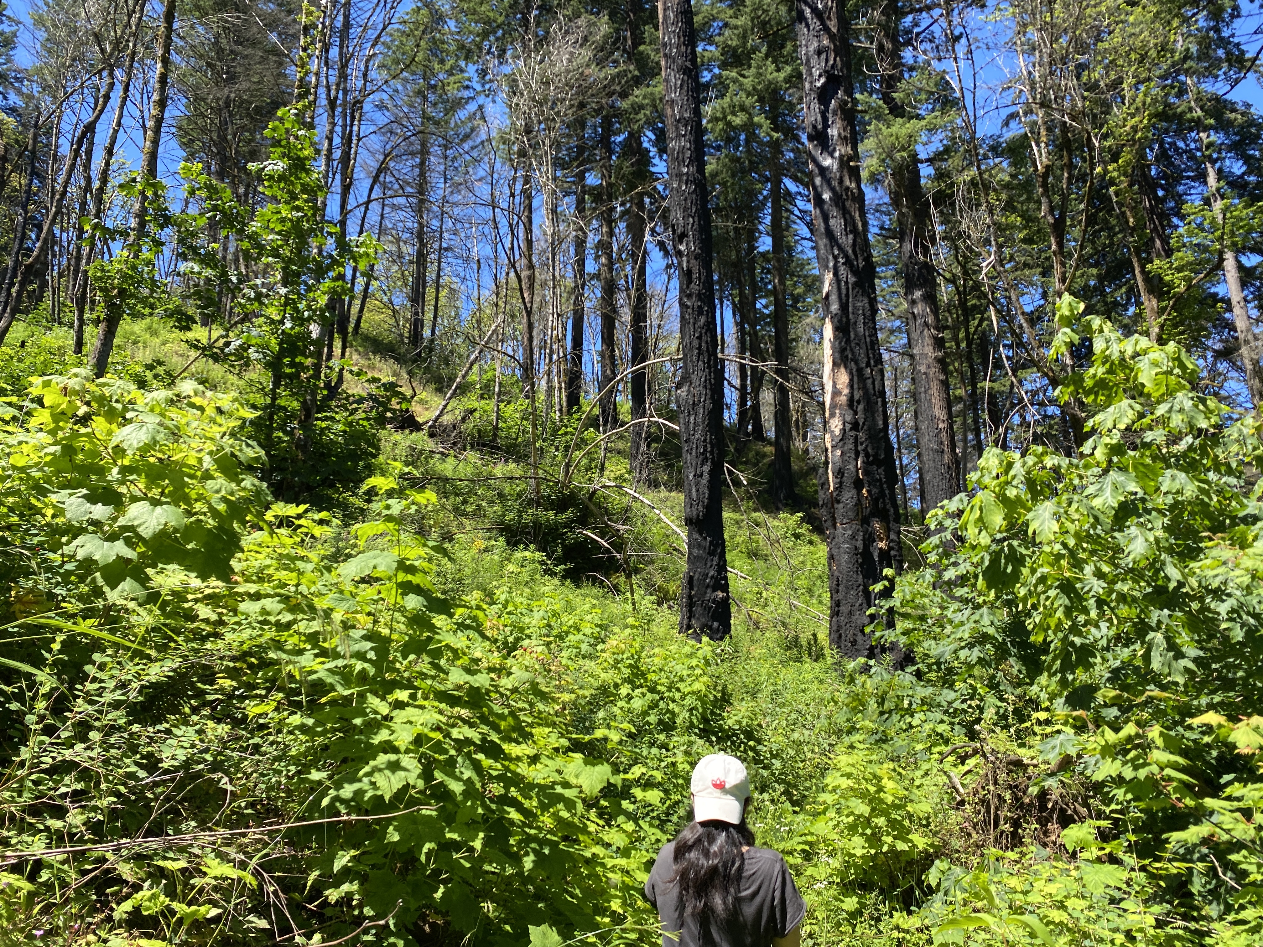 Munra Point