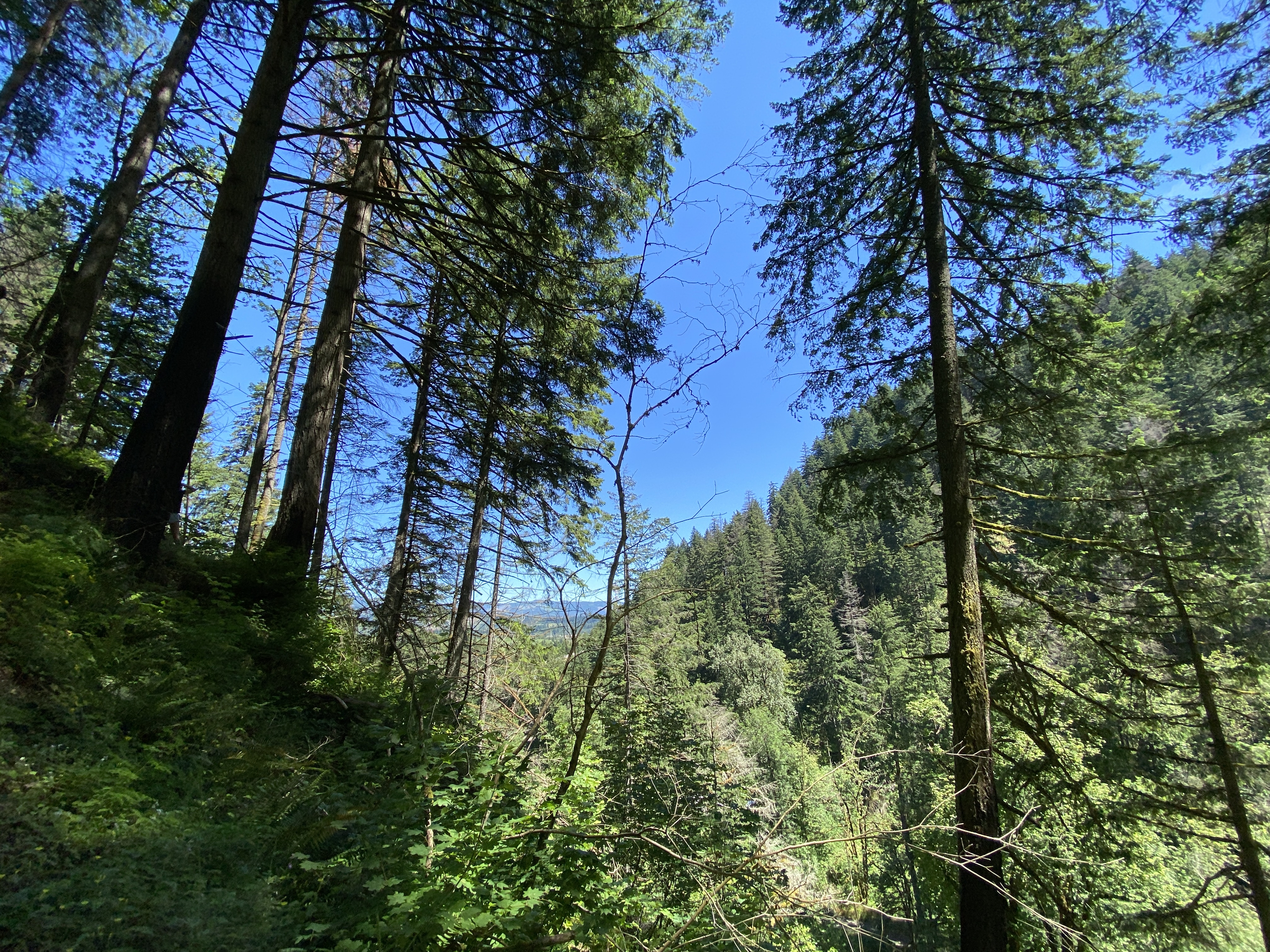Munra Point