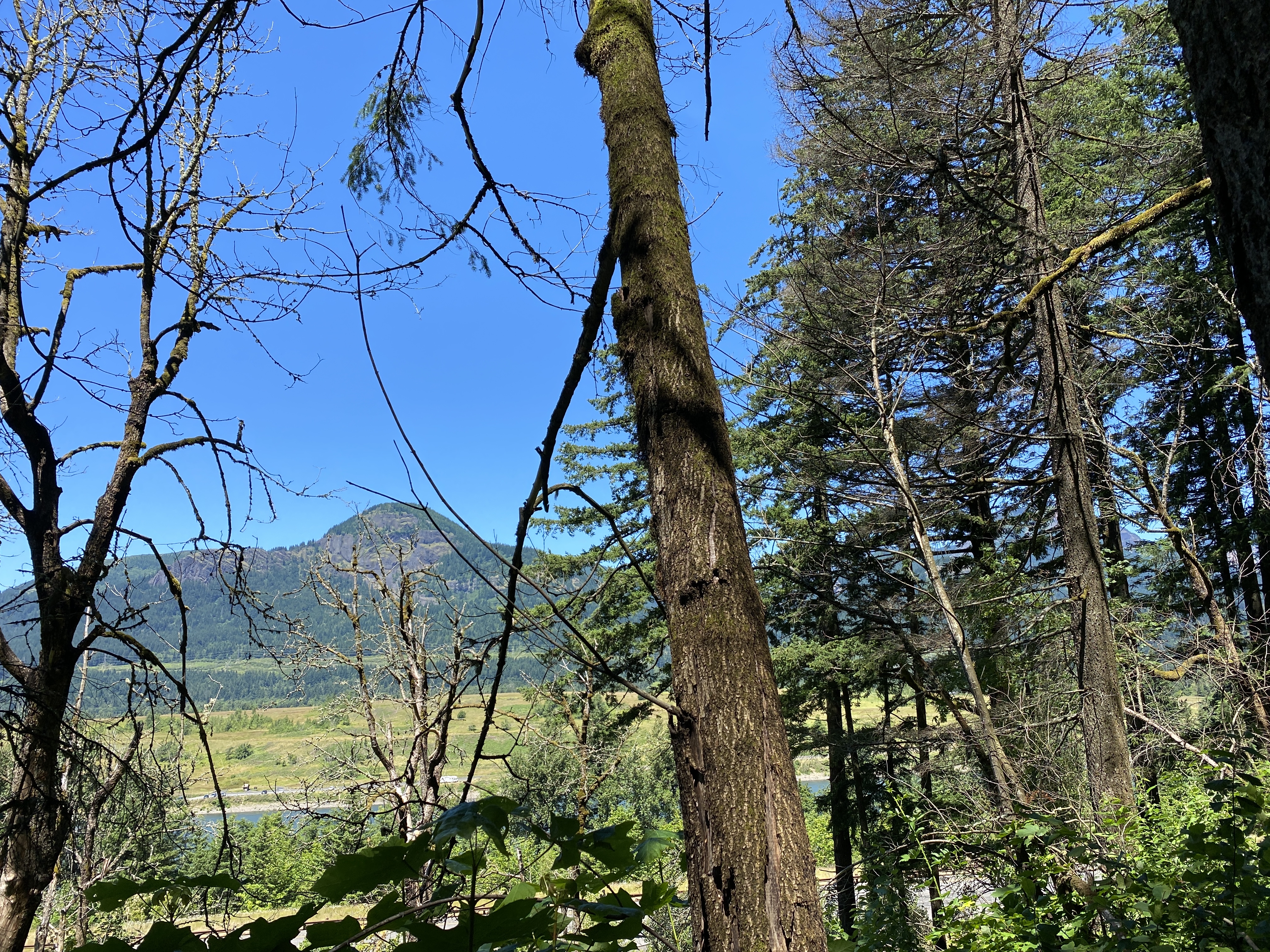 Munra Point