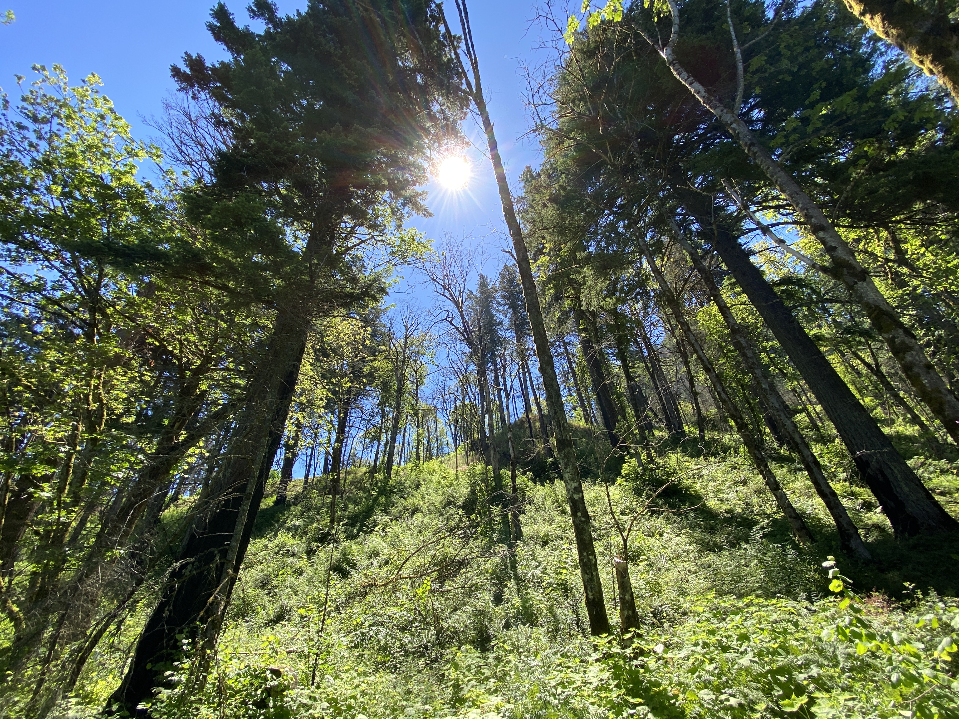 Munra Point