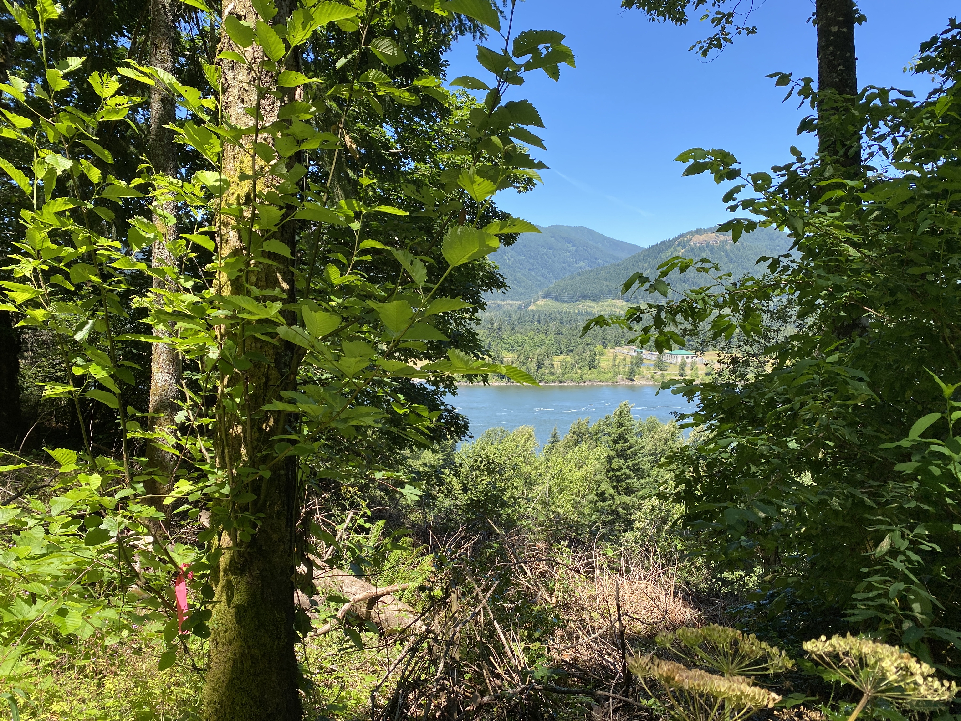 Munra Point