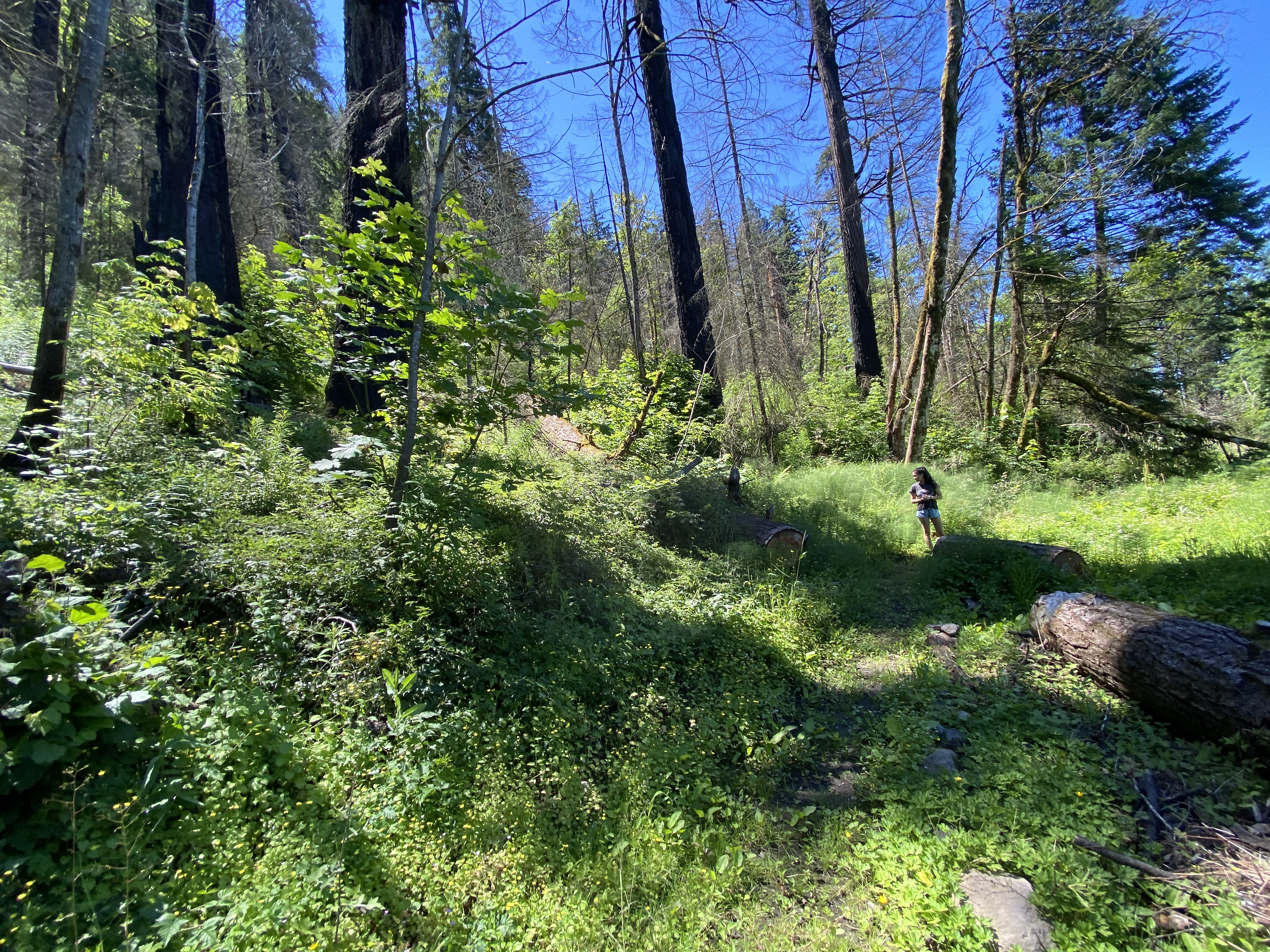 Munra Point