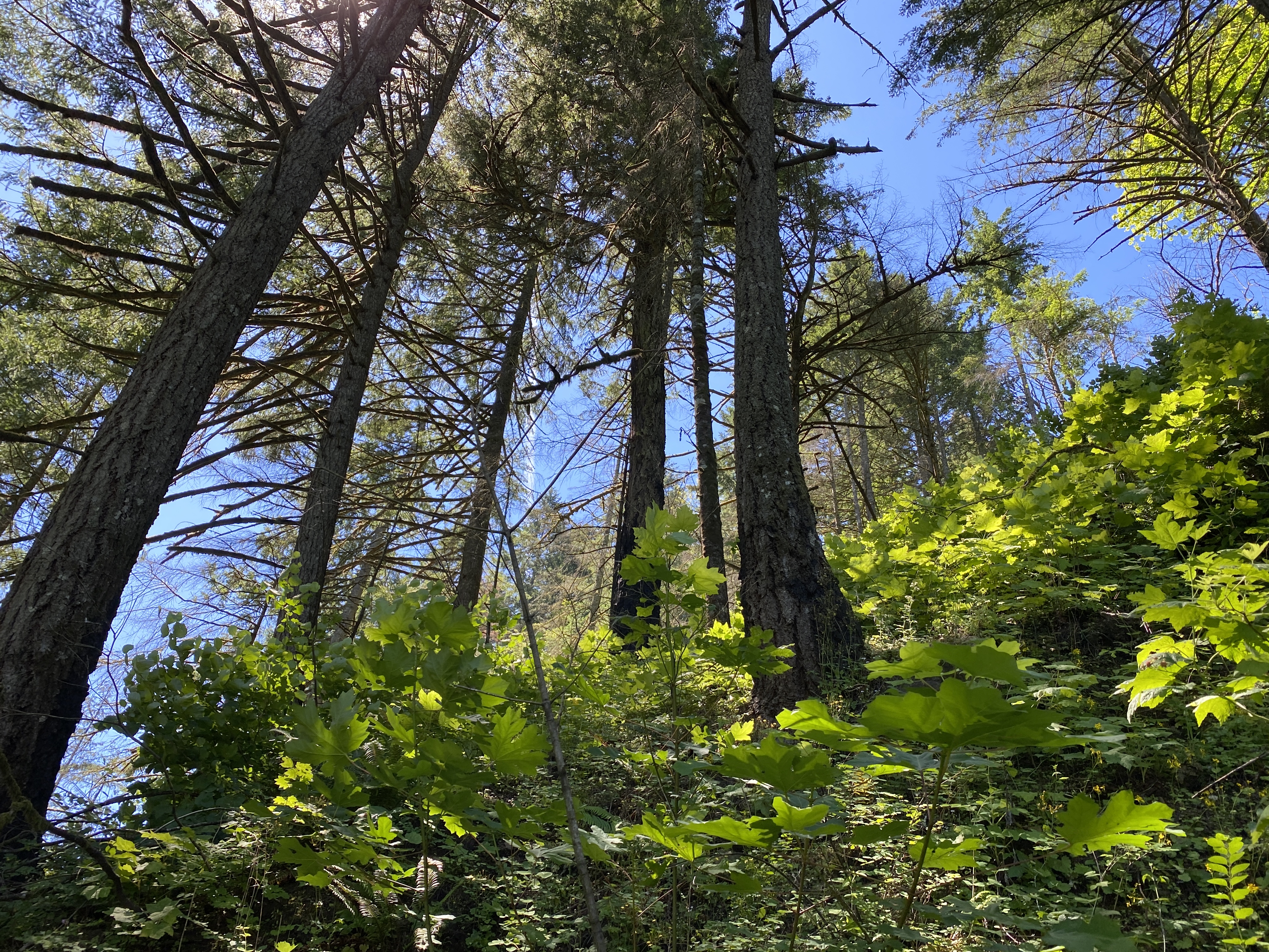 Munra Point