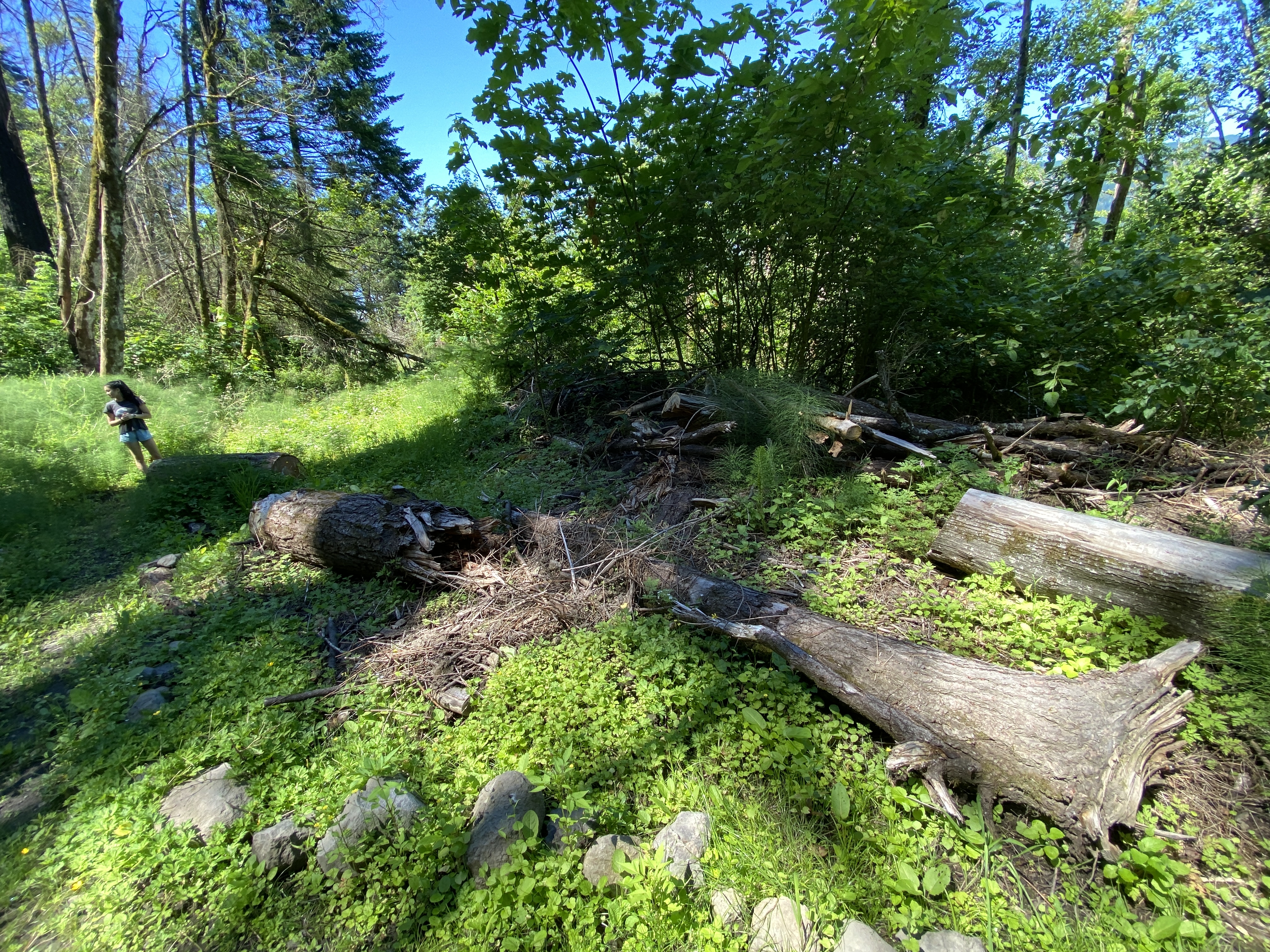 Munra Point