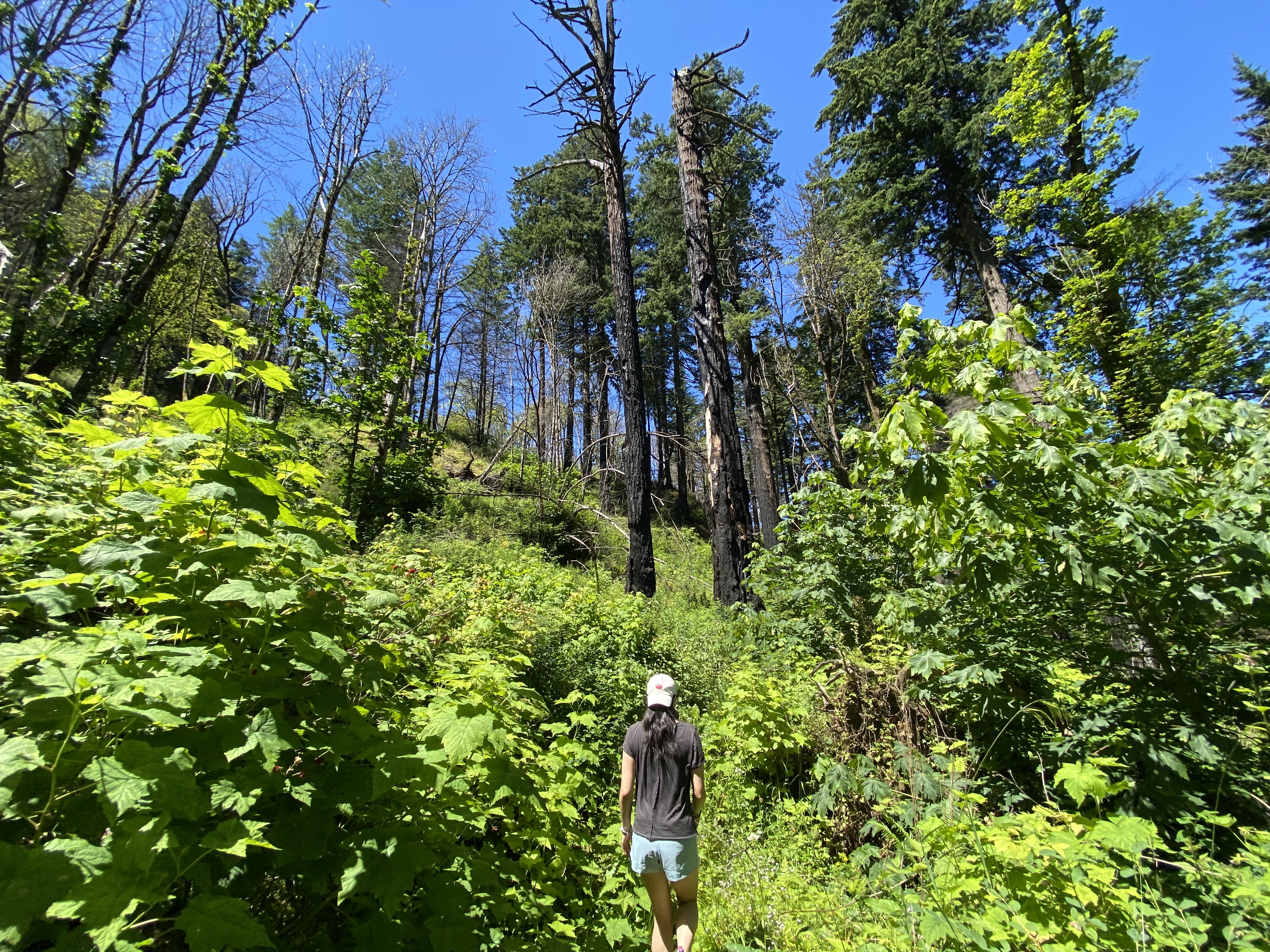 Munra Point