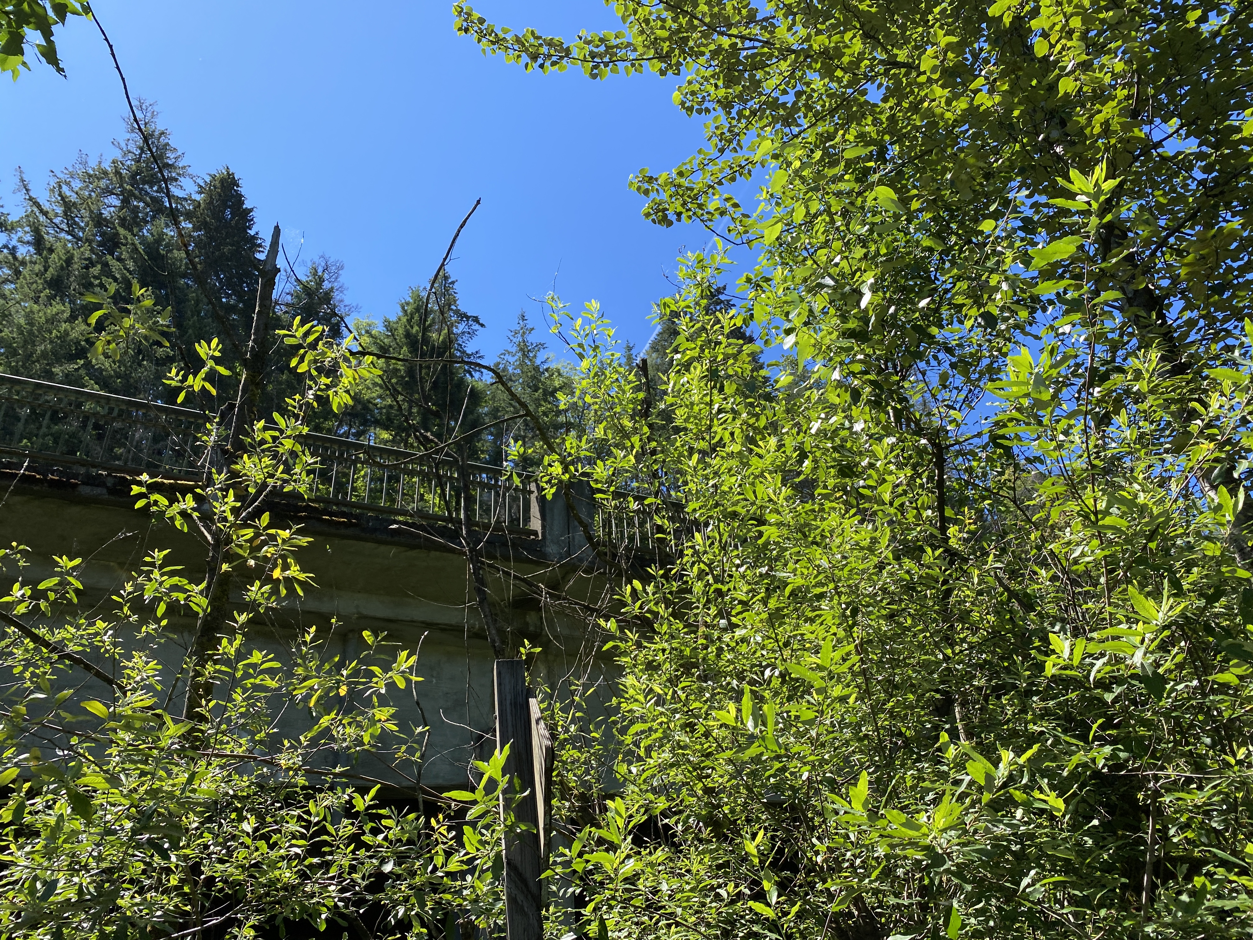 Munra Point