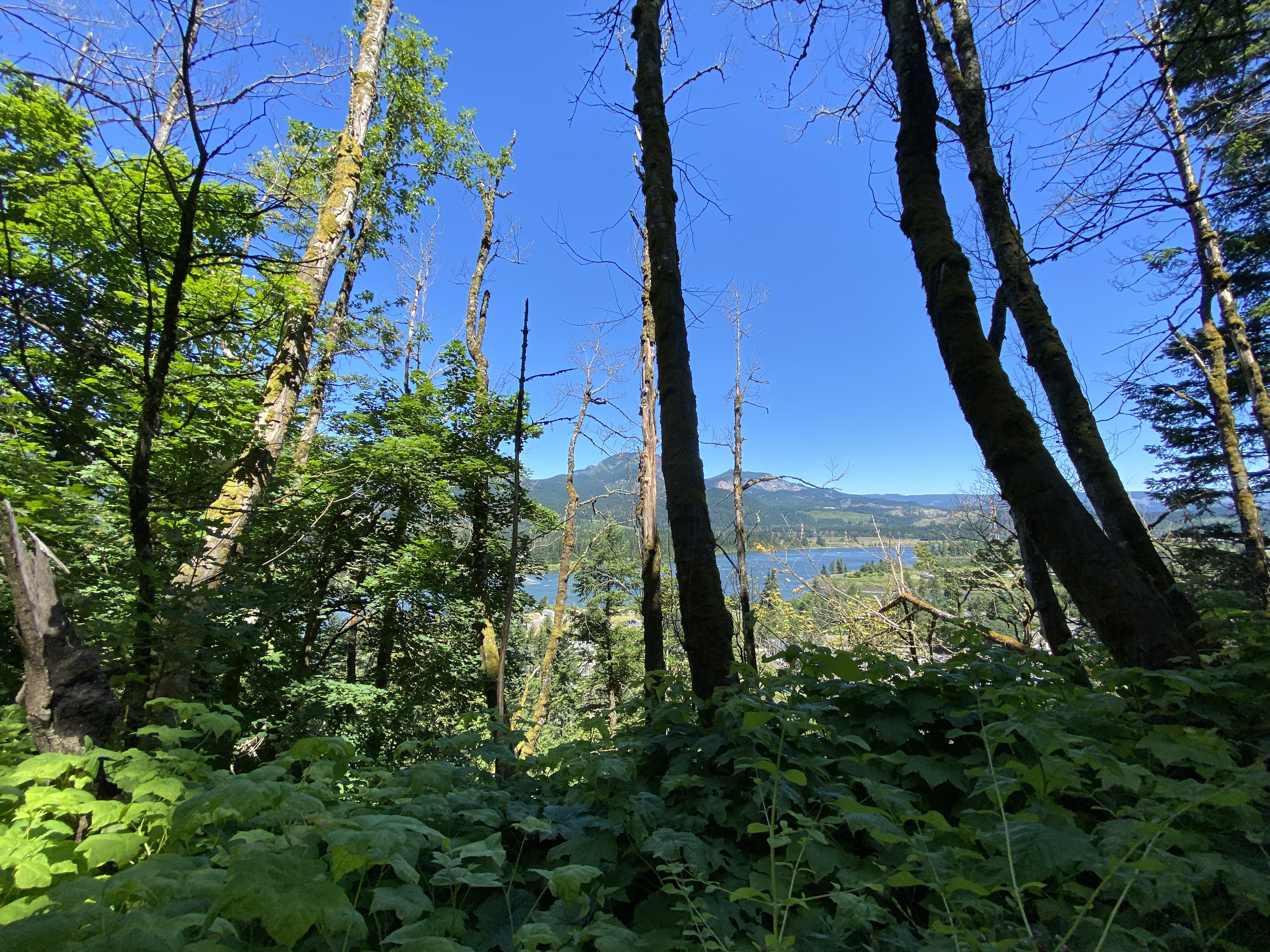 Munra Point
