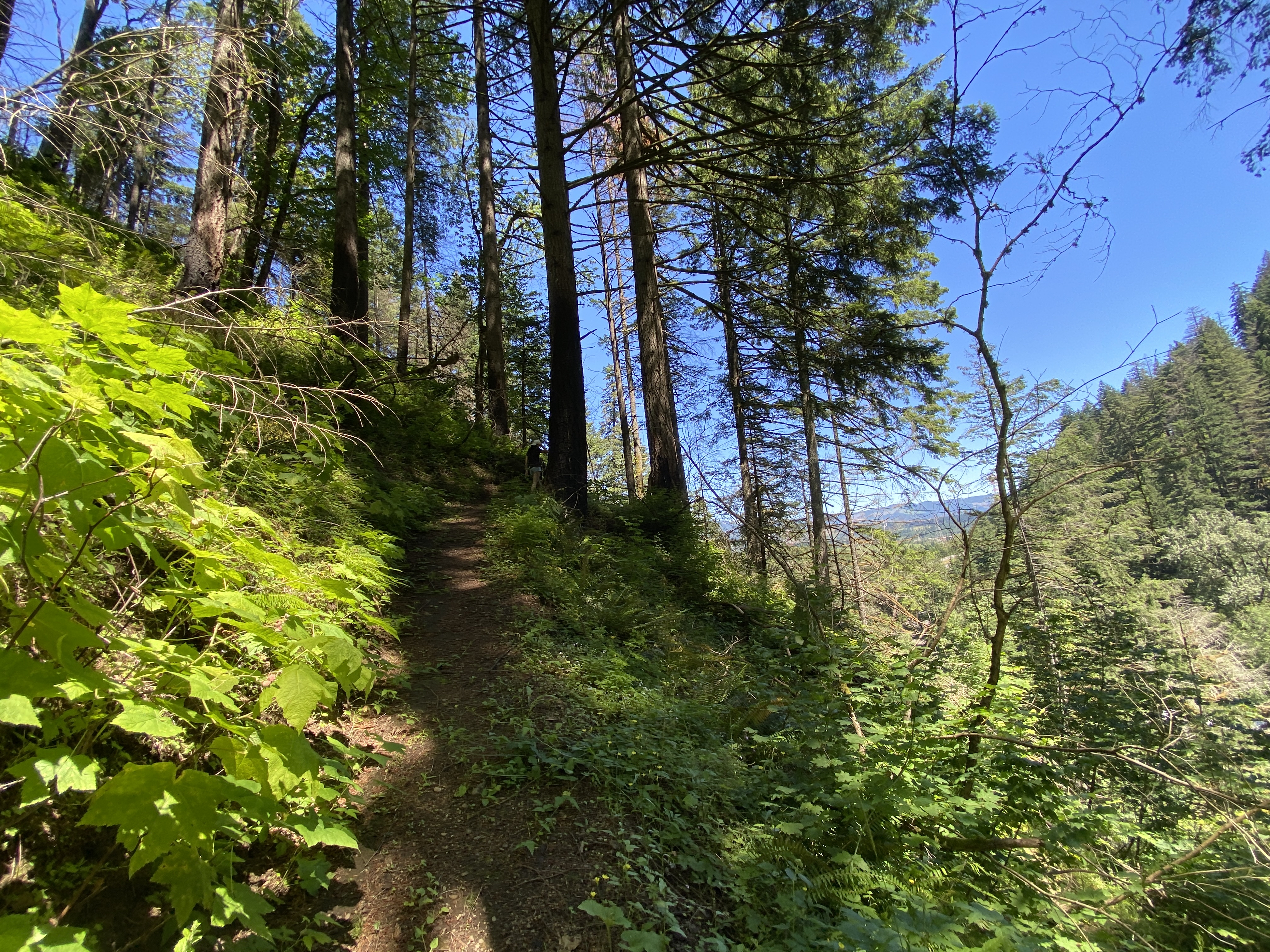 Munra Point