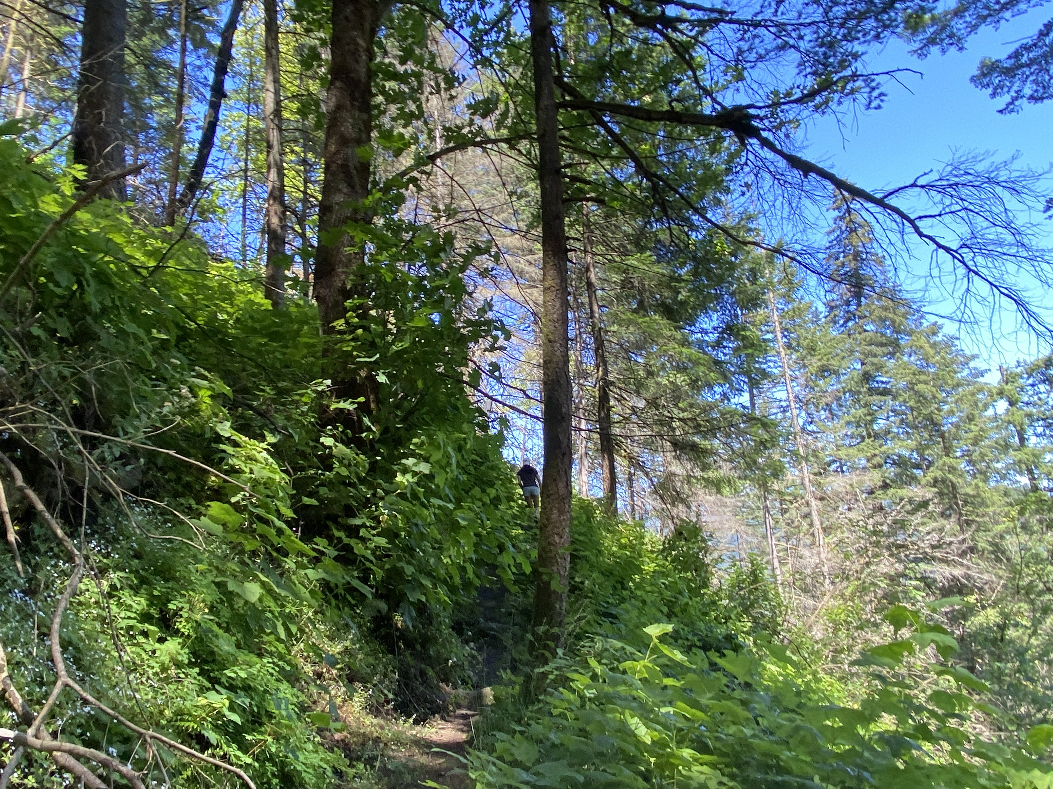 Munra Point