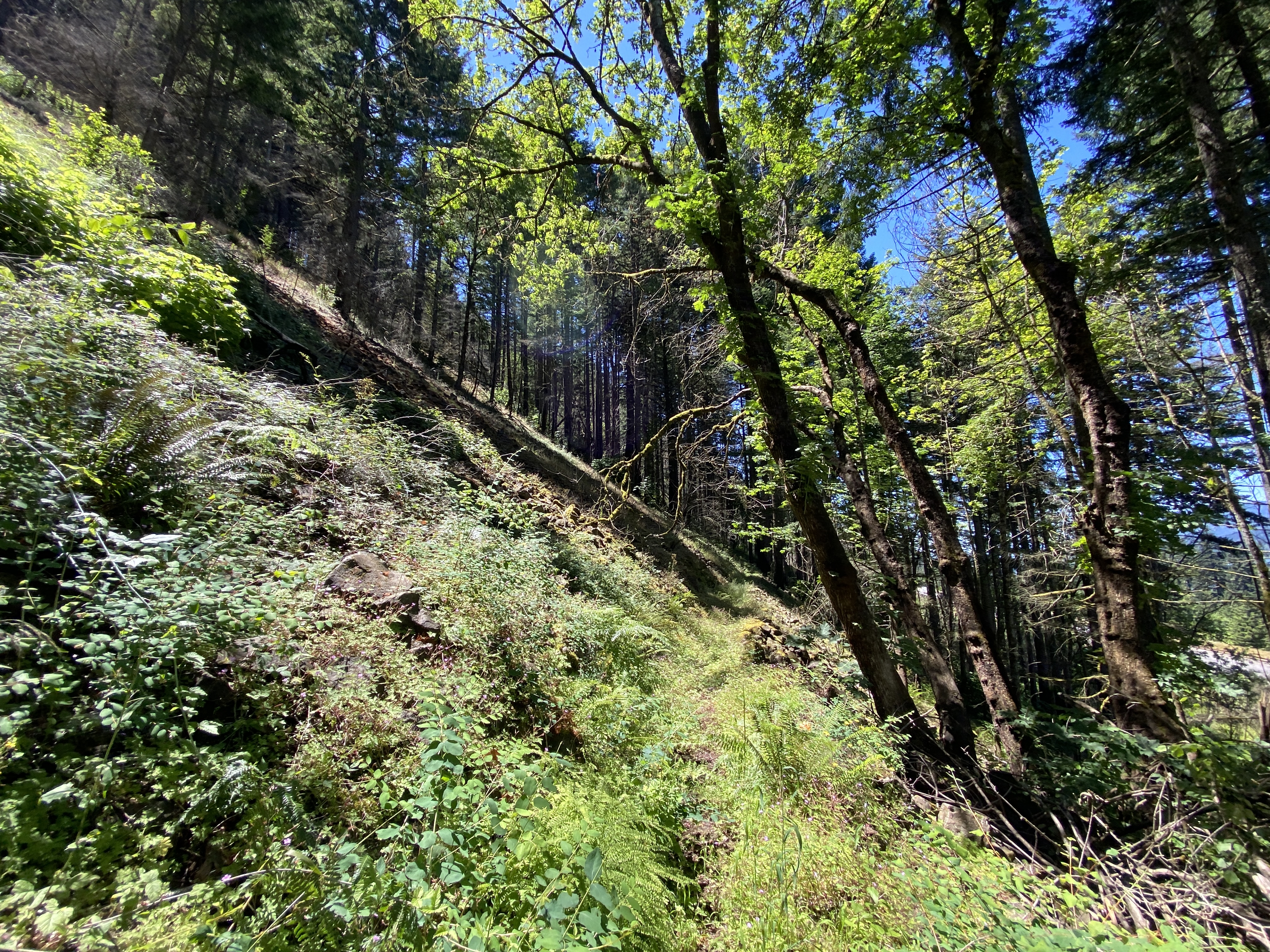Munra Point