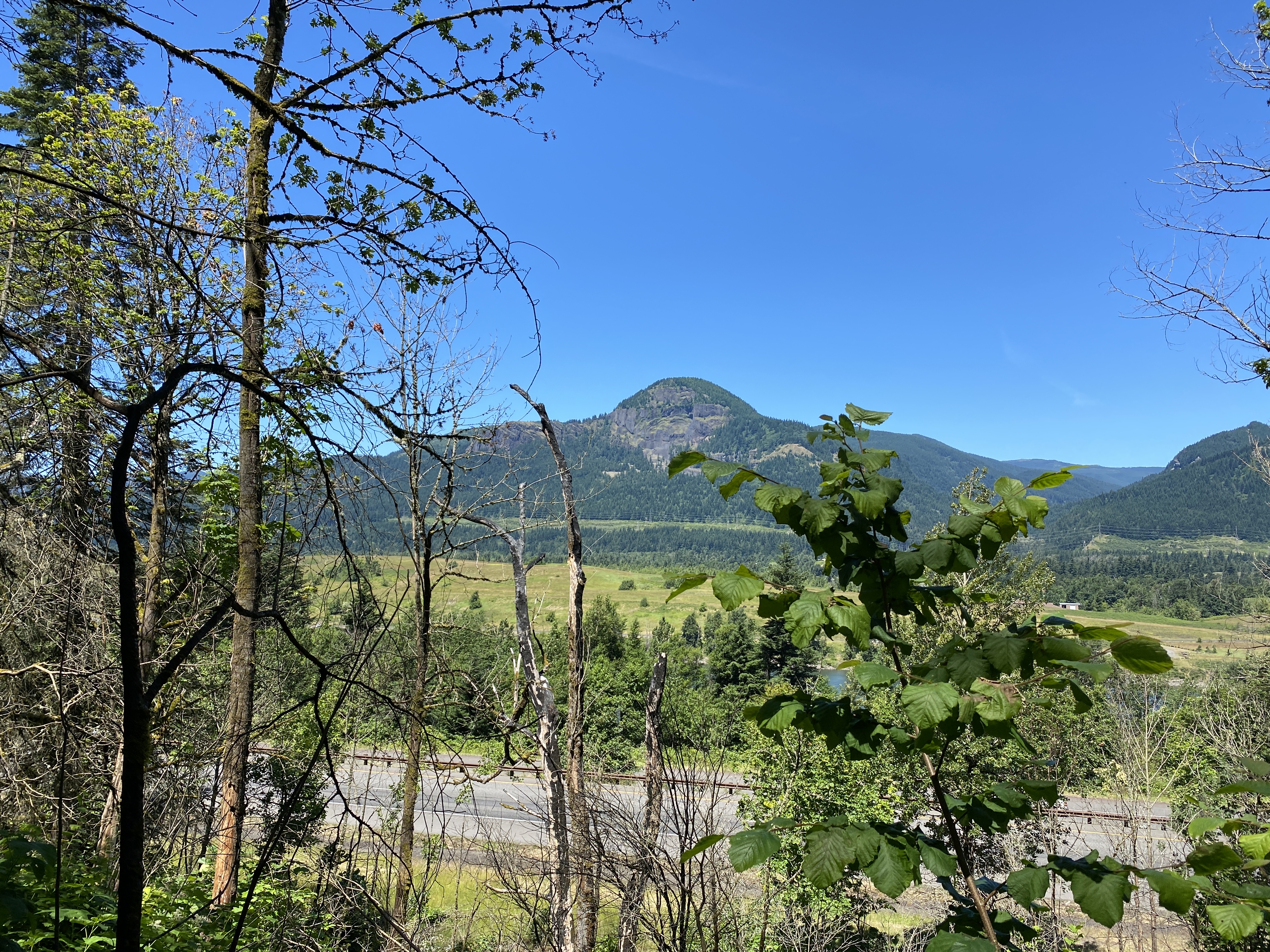 Munra Point