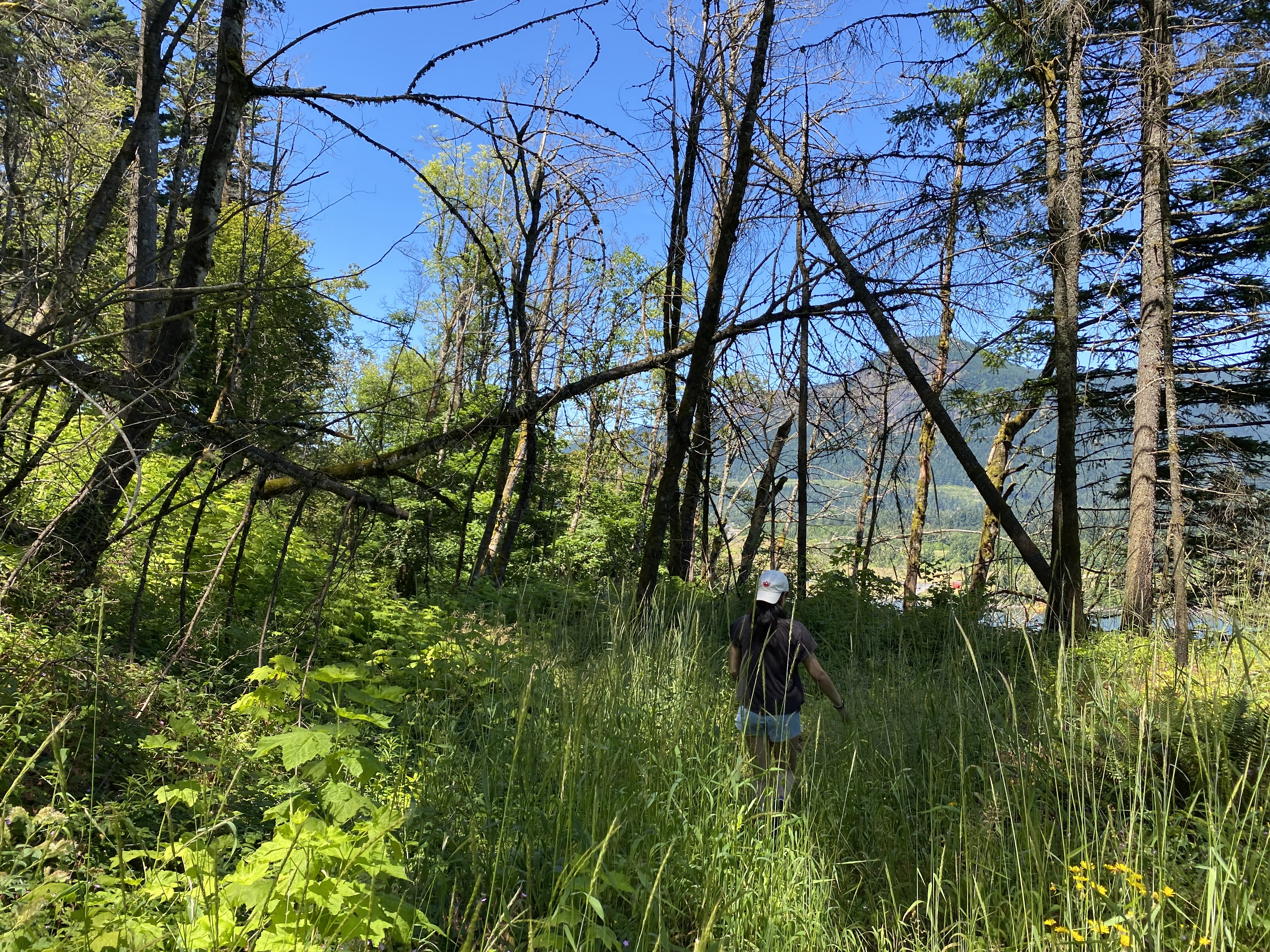 Munra Point