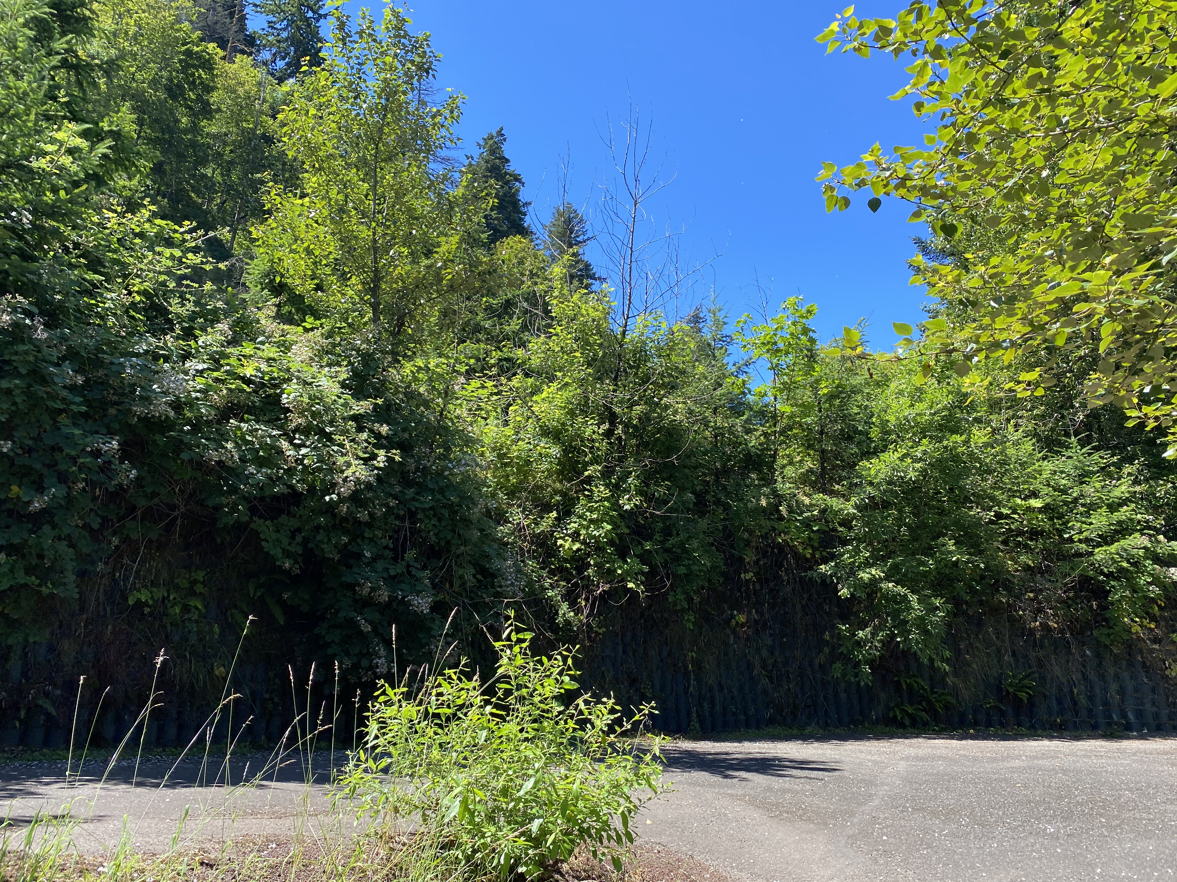 Munra Point