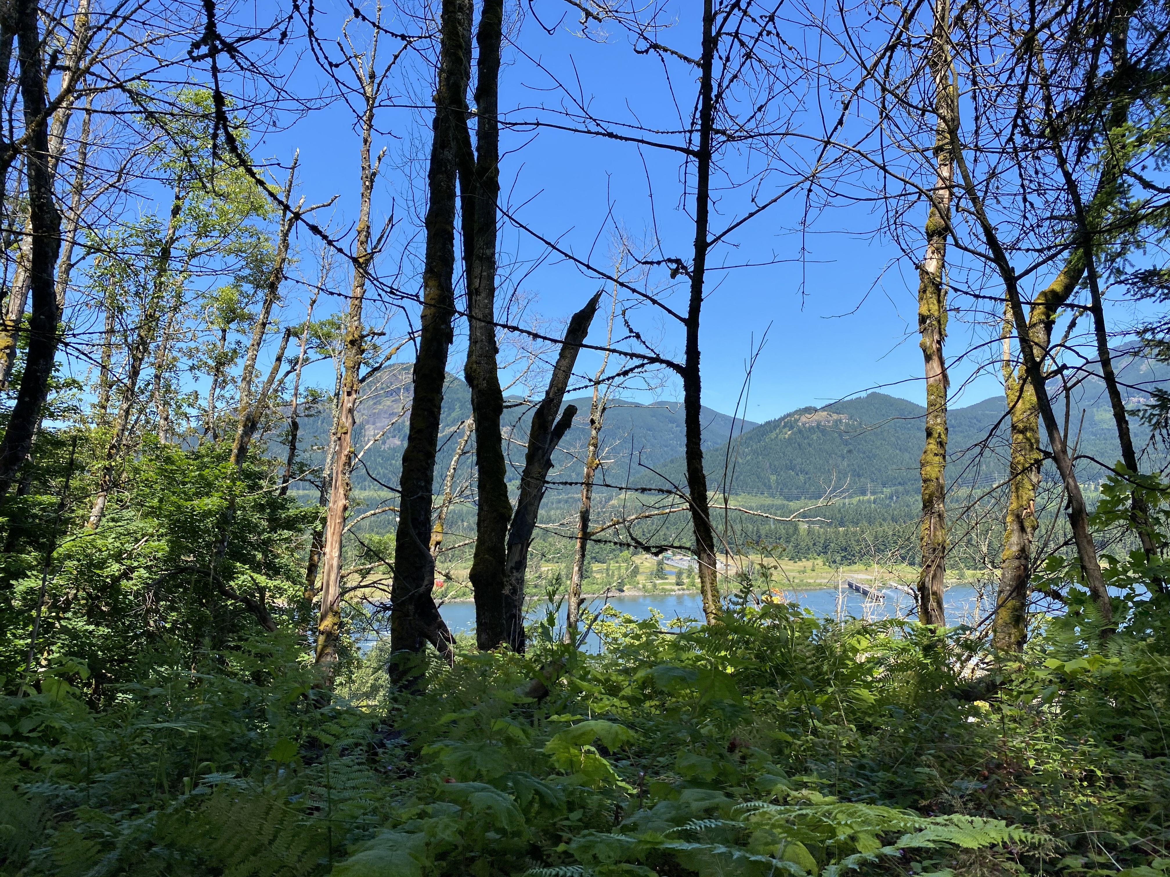 Munra Point