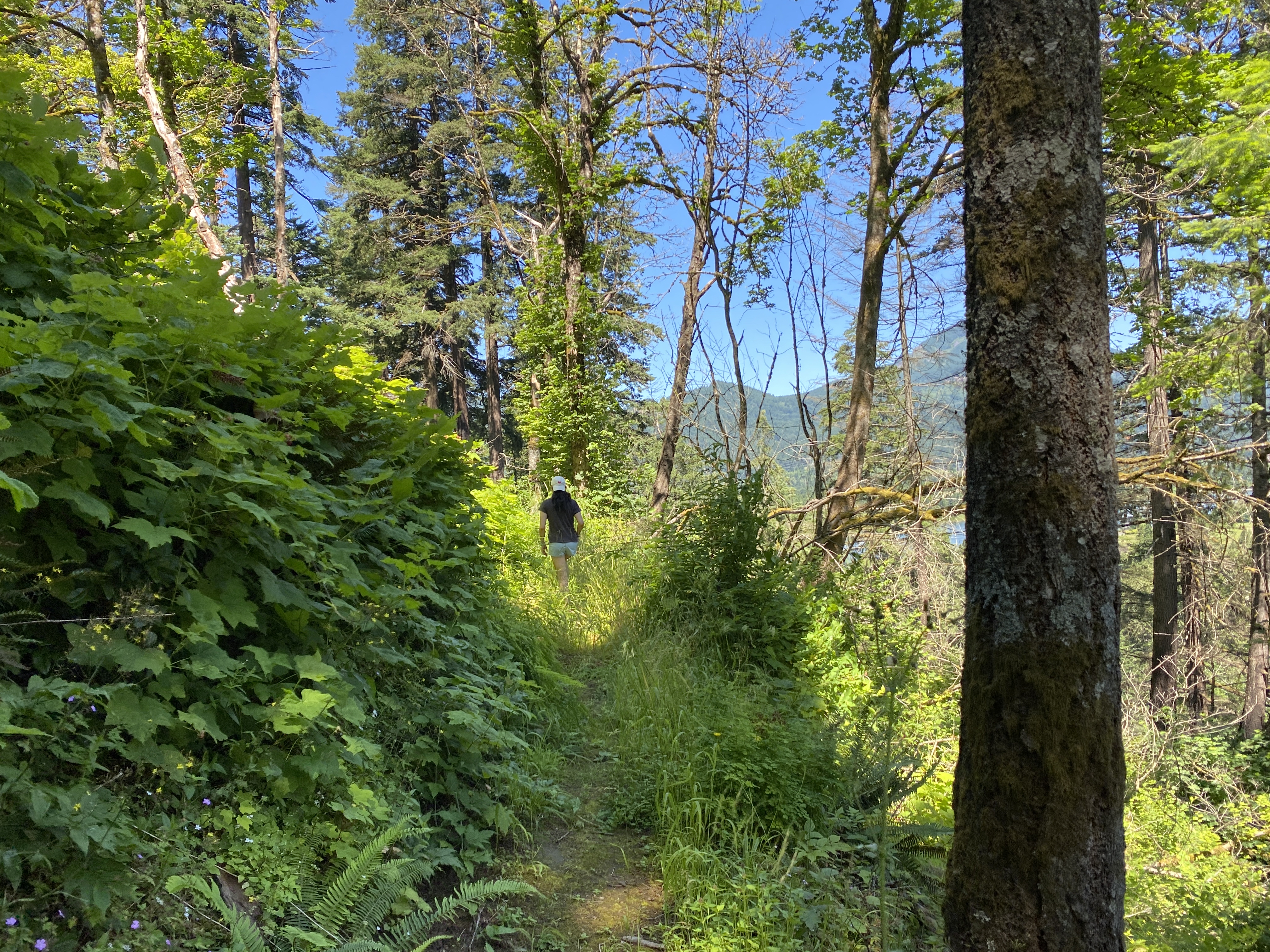 Munra Point