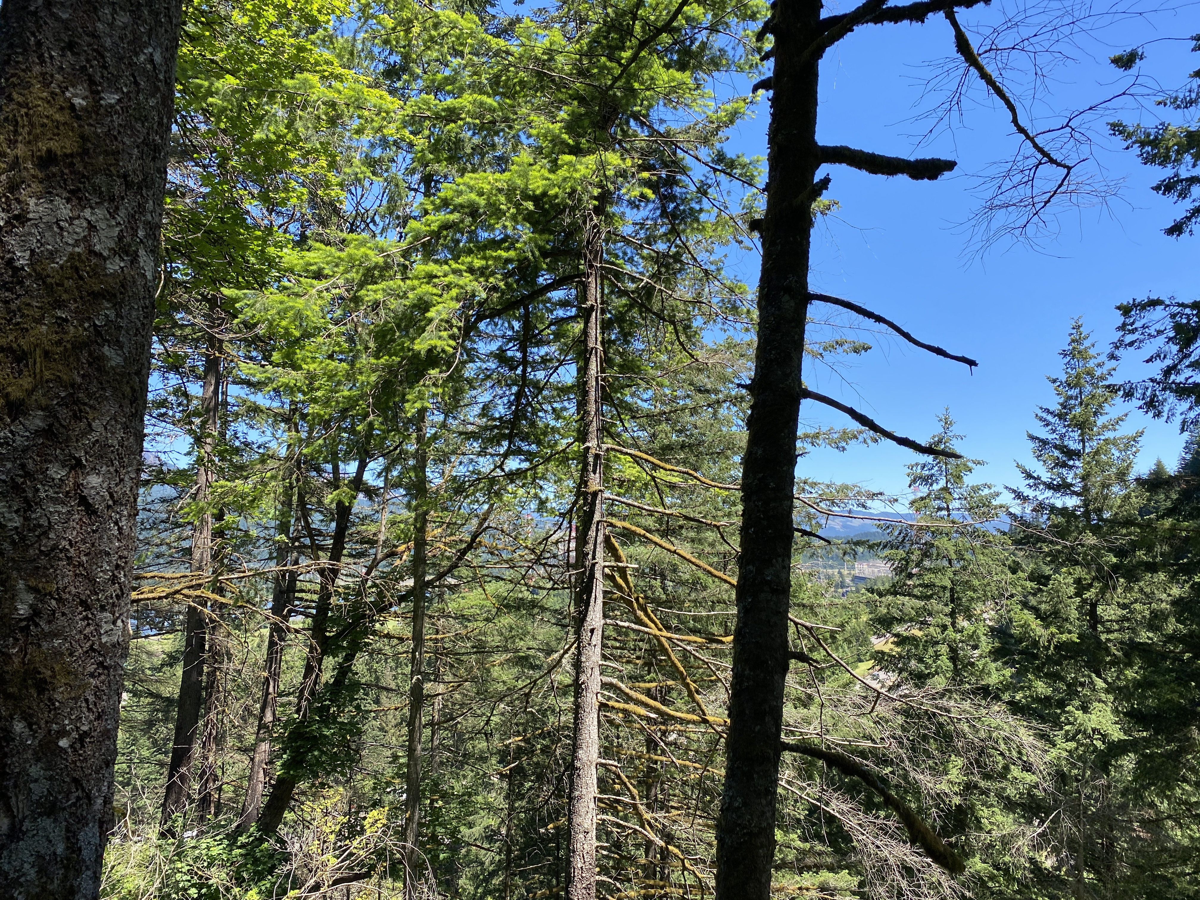 Munra Point