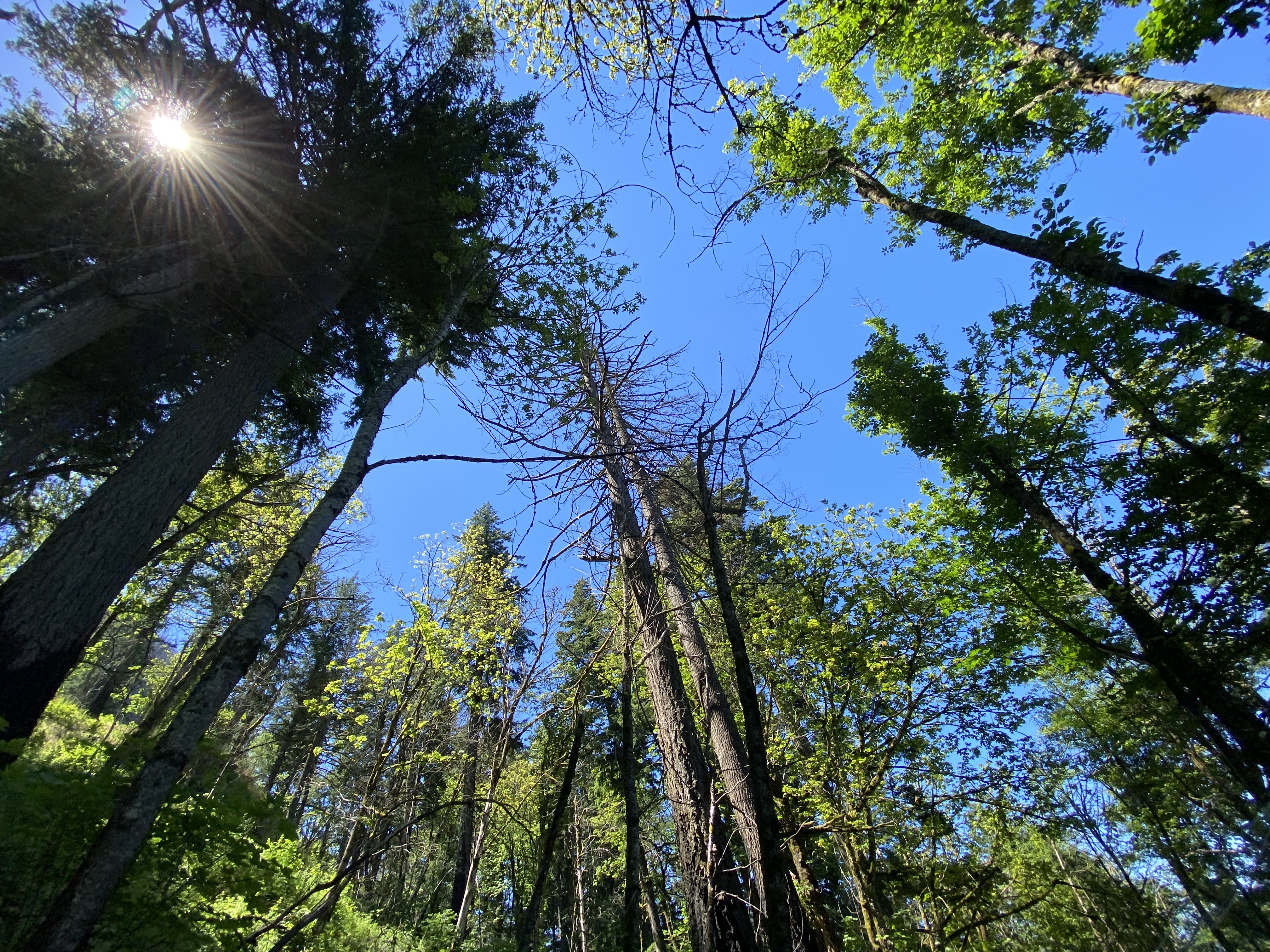 Munra Point