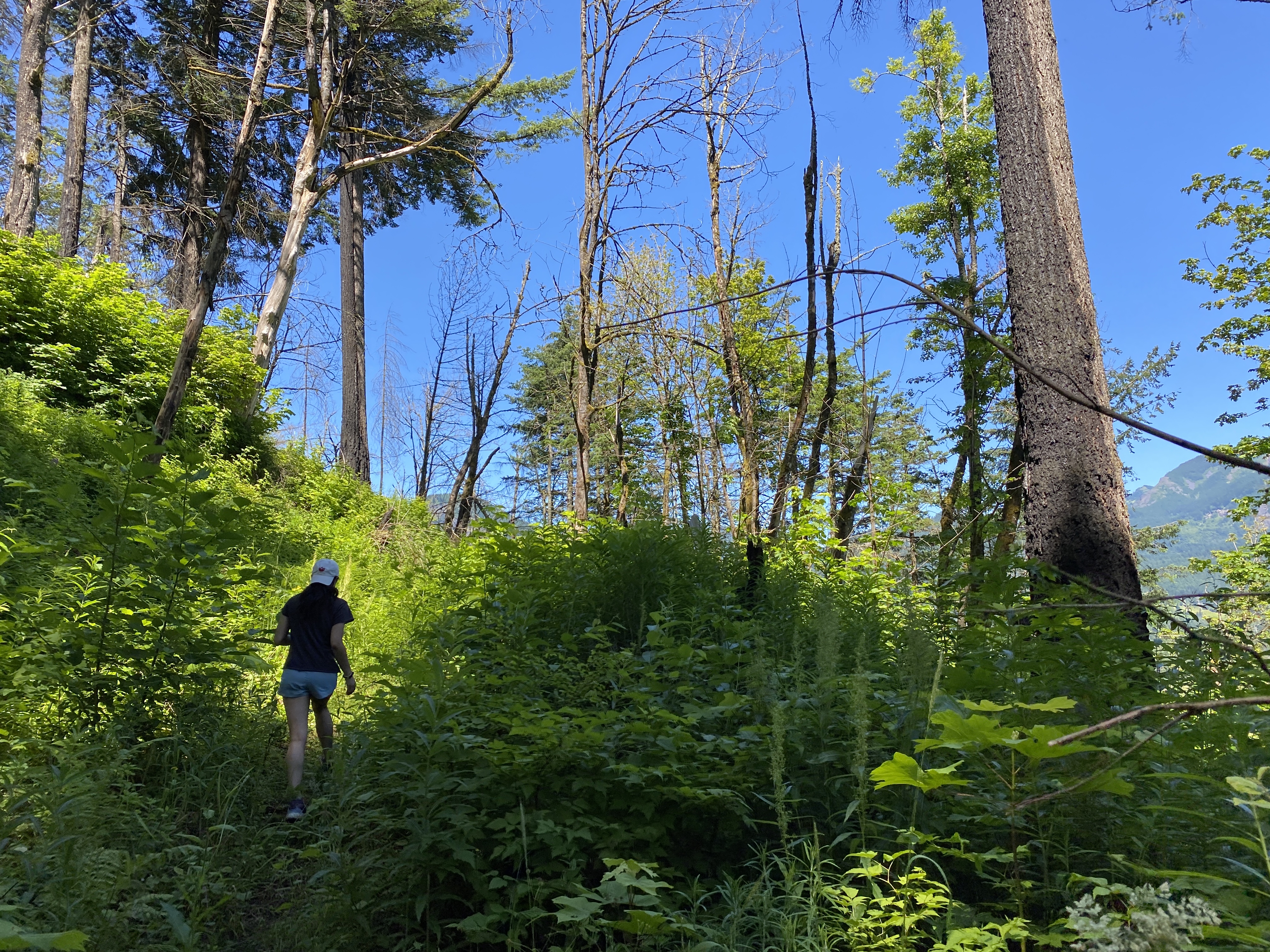Munra Point