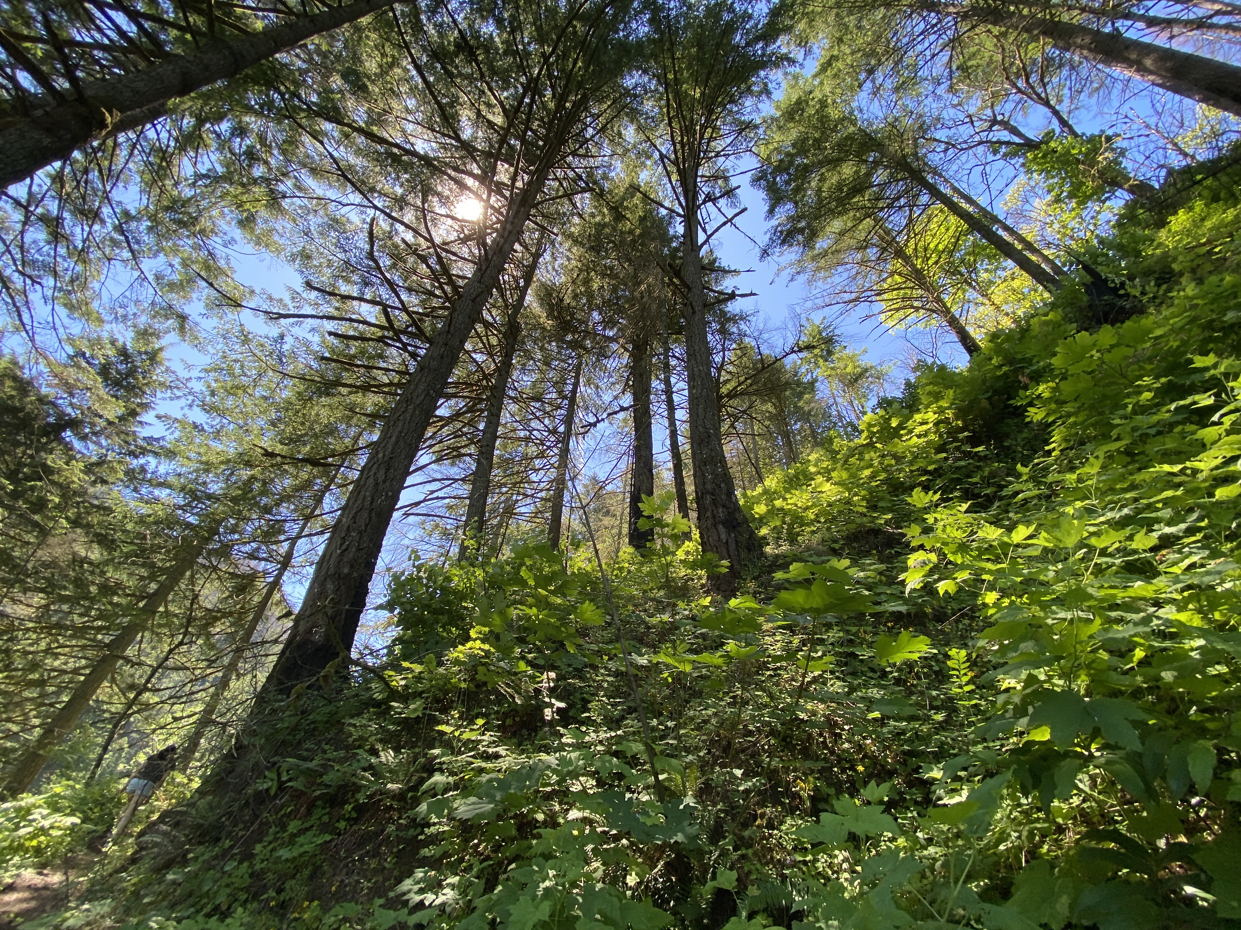 Munra Point