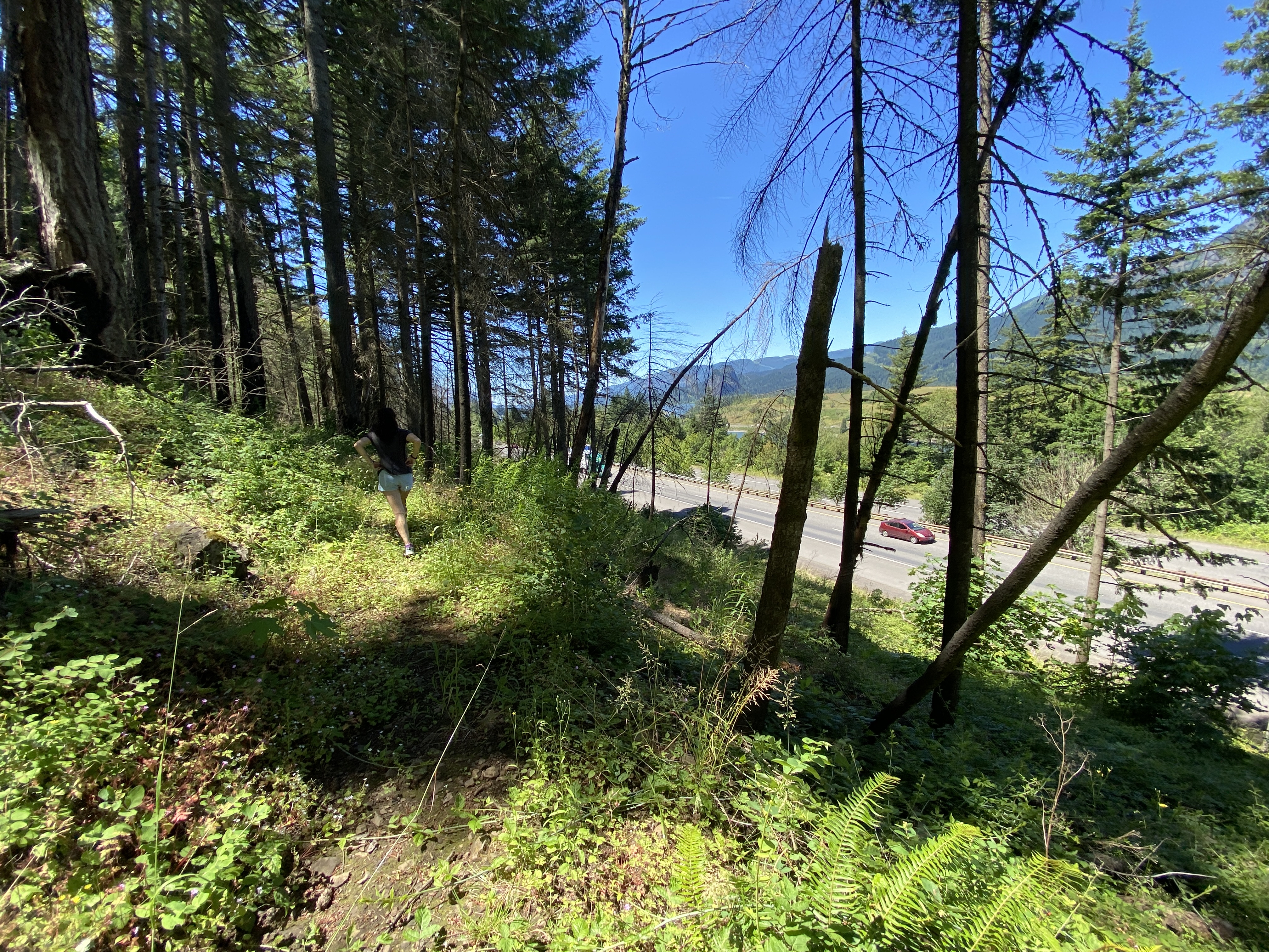 Munra Point