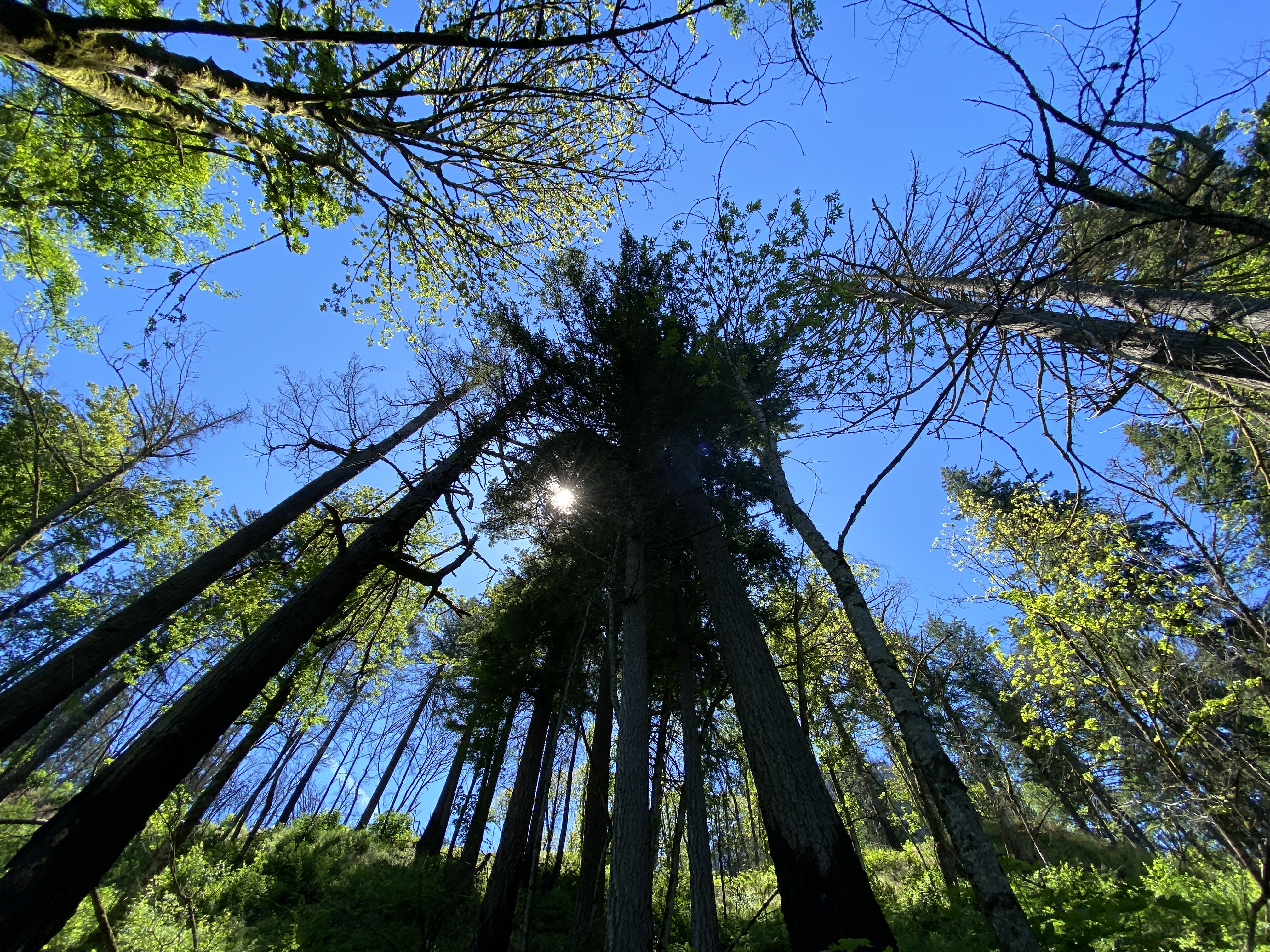 Munra Point