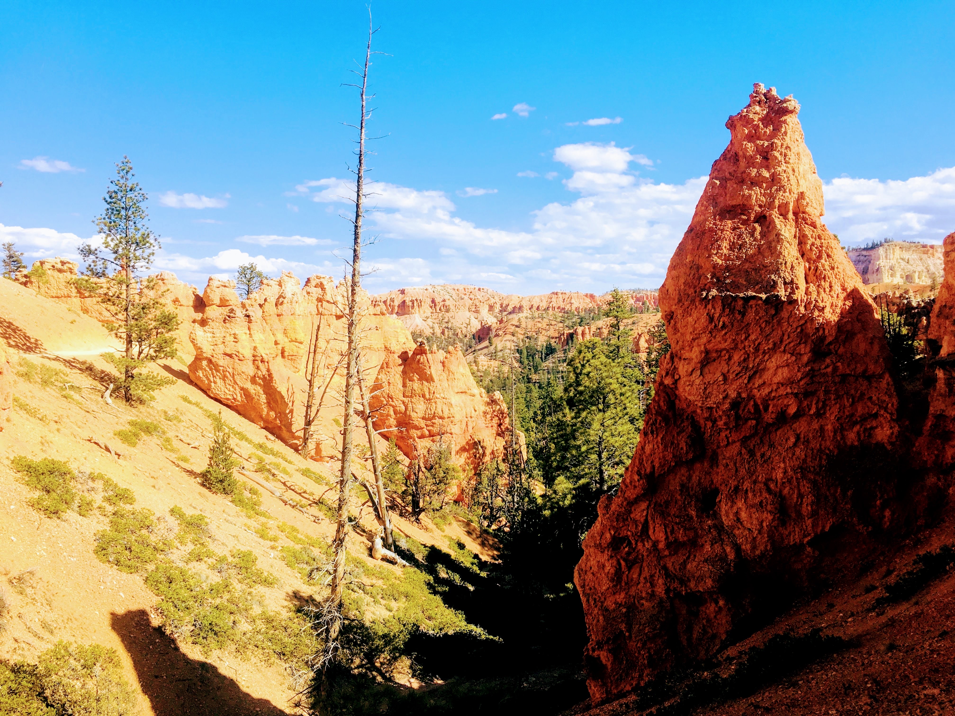 Wall Street Loop in Bryce Canyon