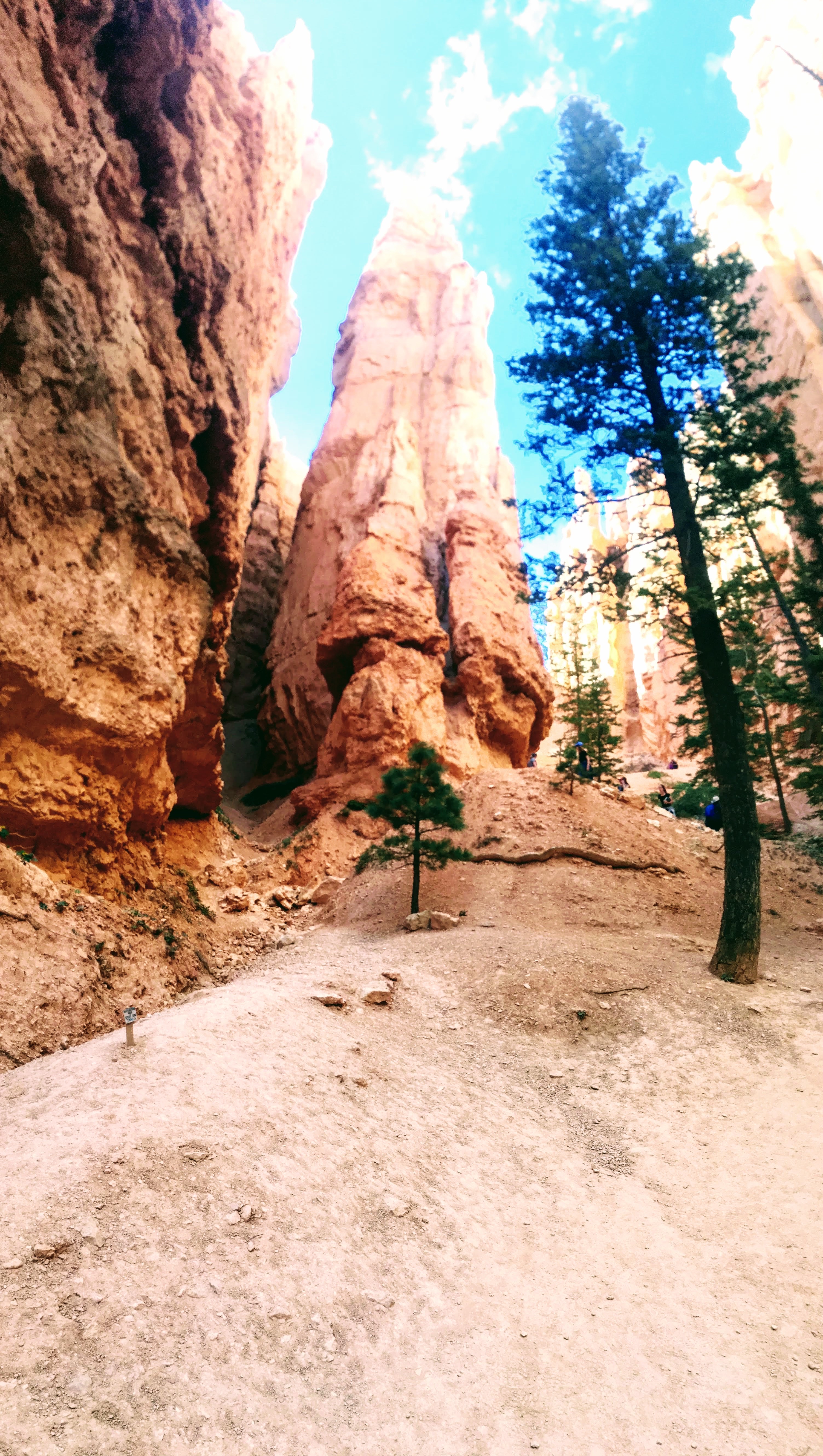Wall Street Loop in Bryce Canyon