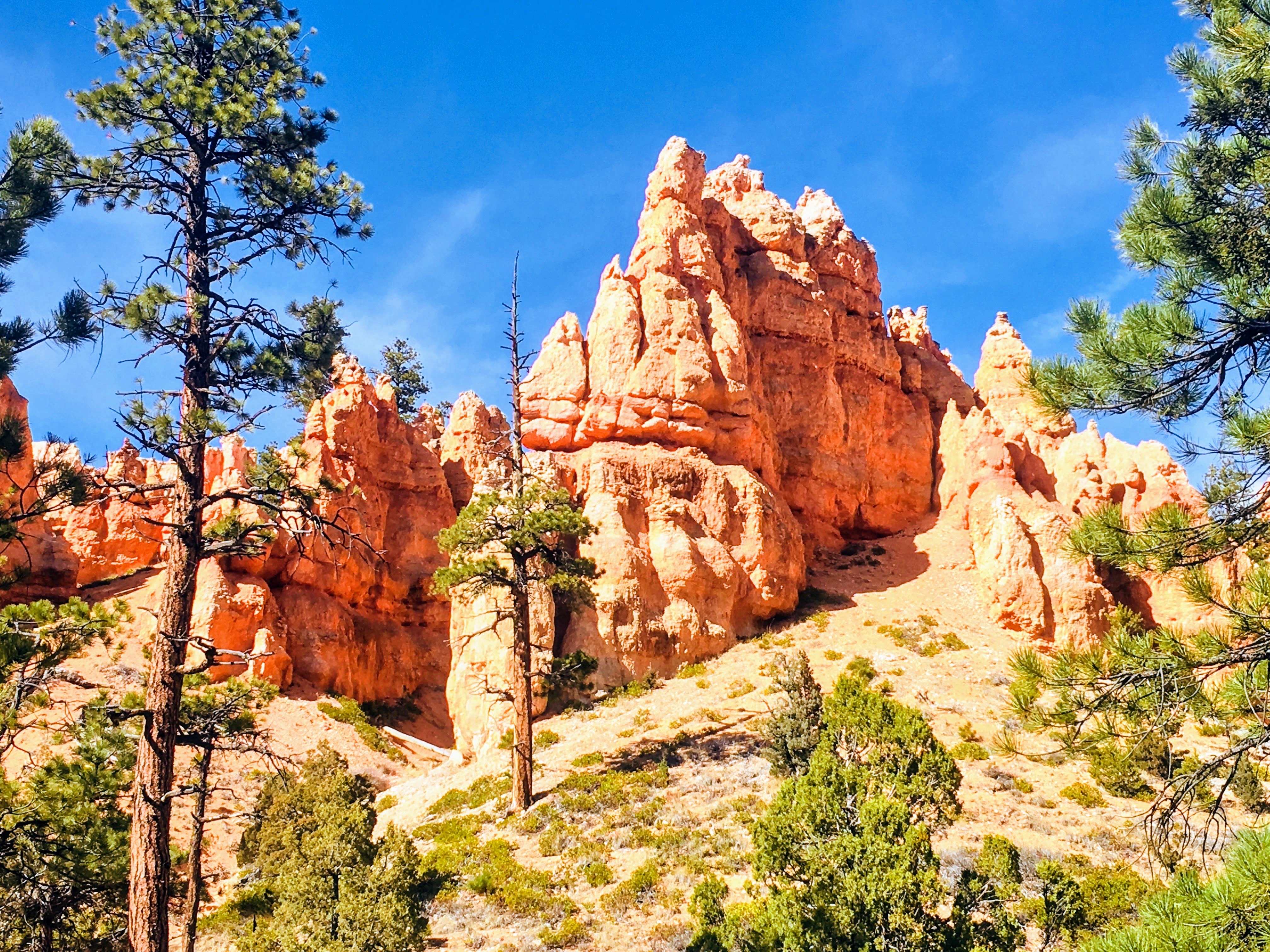 Wall Street Loop in Bryce Canyon