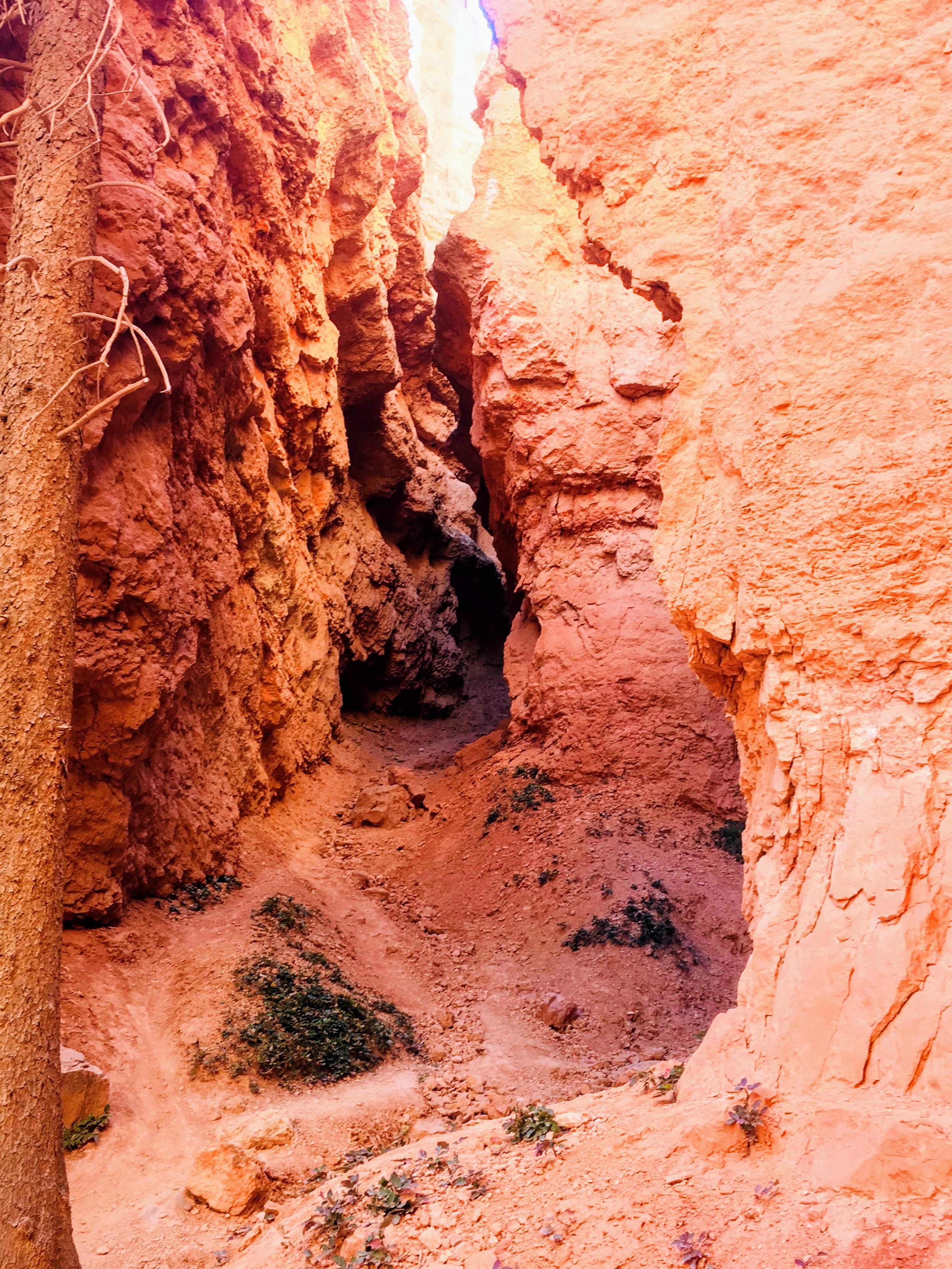 Wall Street Loop in Bryce Canyon