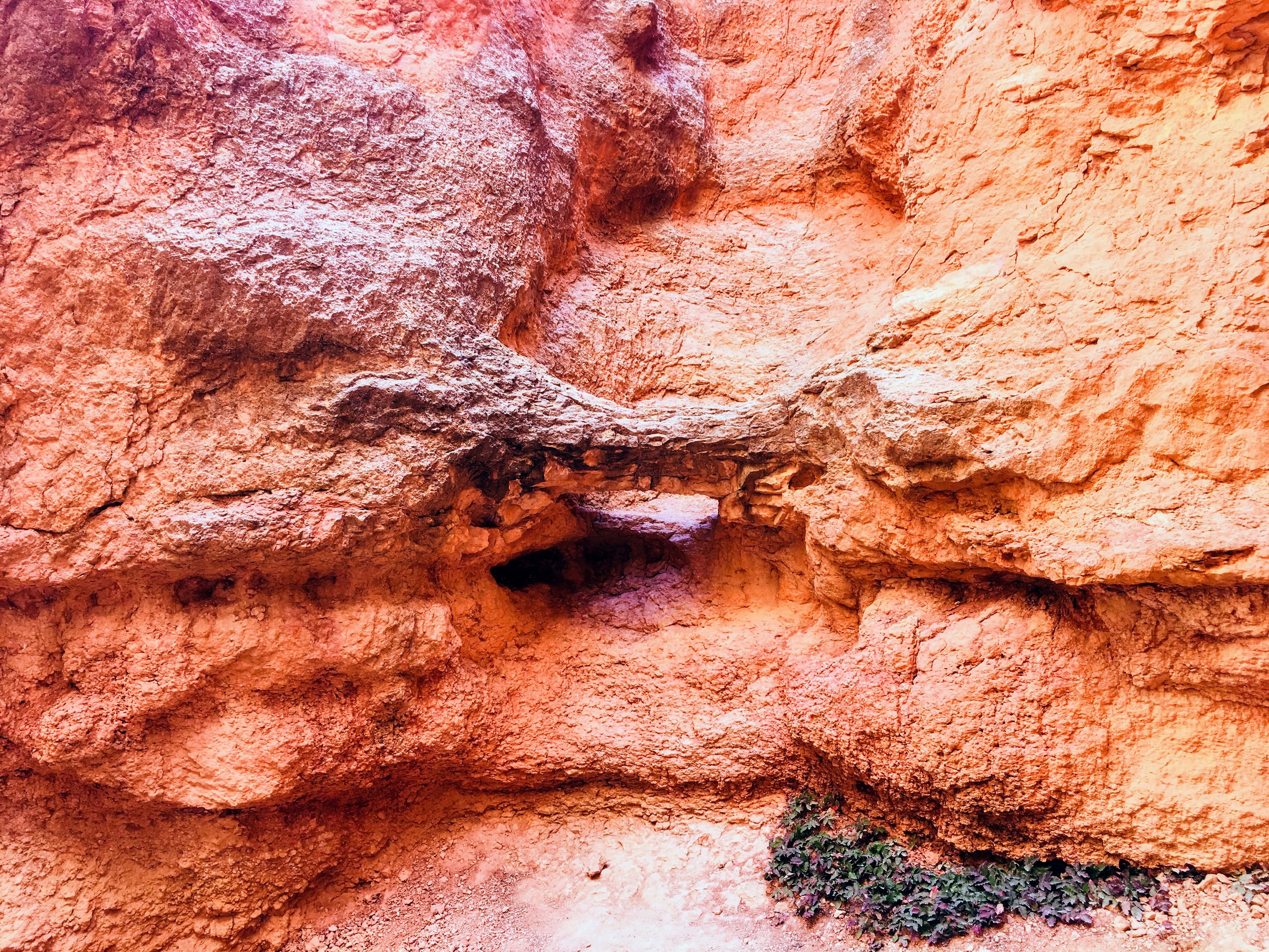 Wall Street Loop in Bryce Canyon