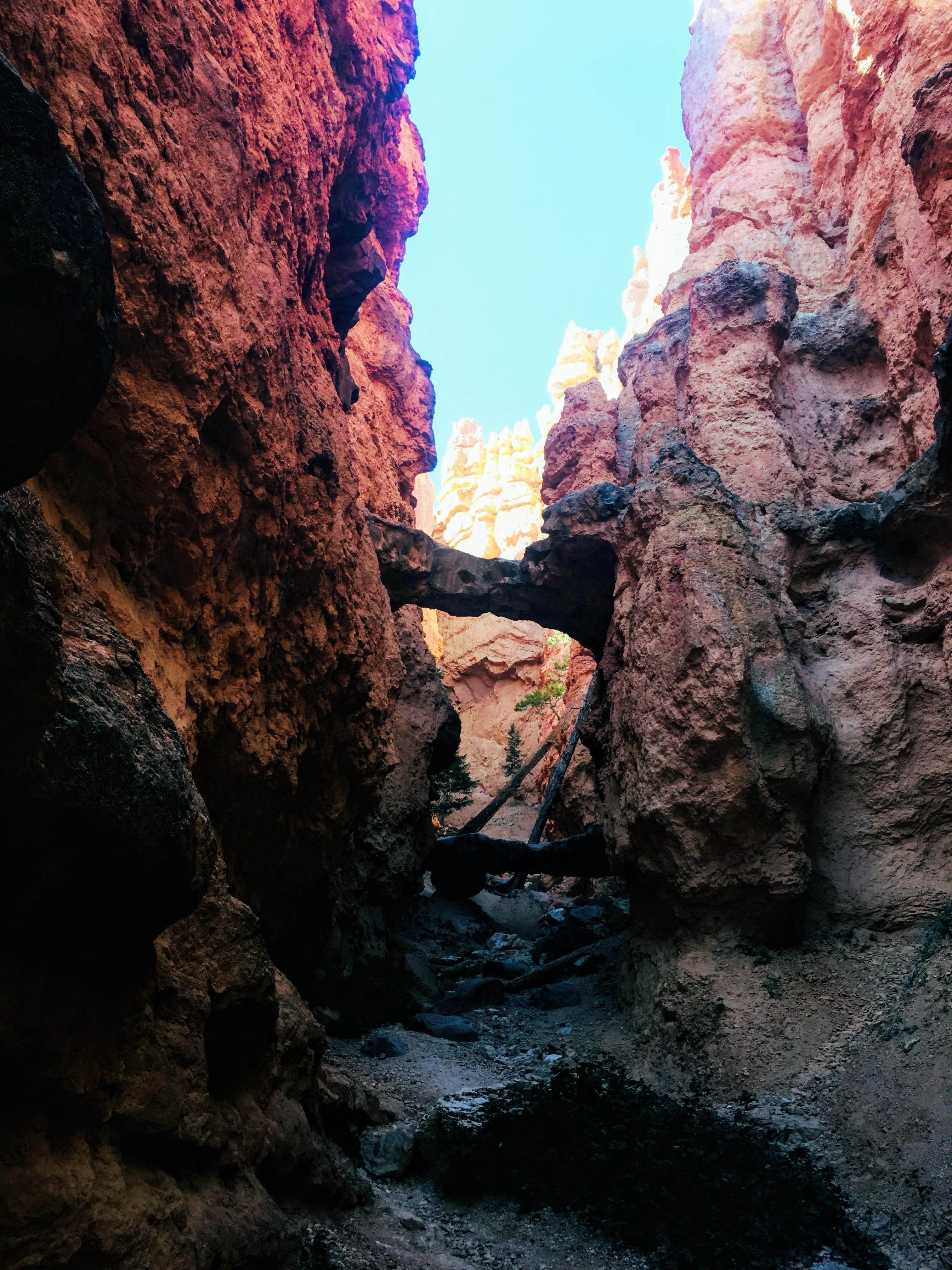 Wall Street Loop in Bryce Canyon