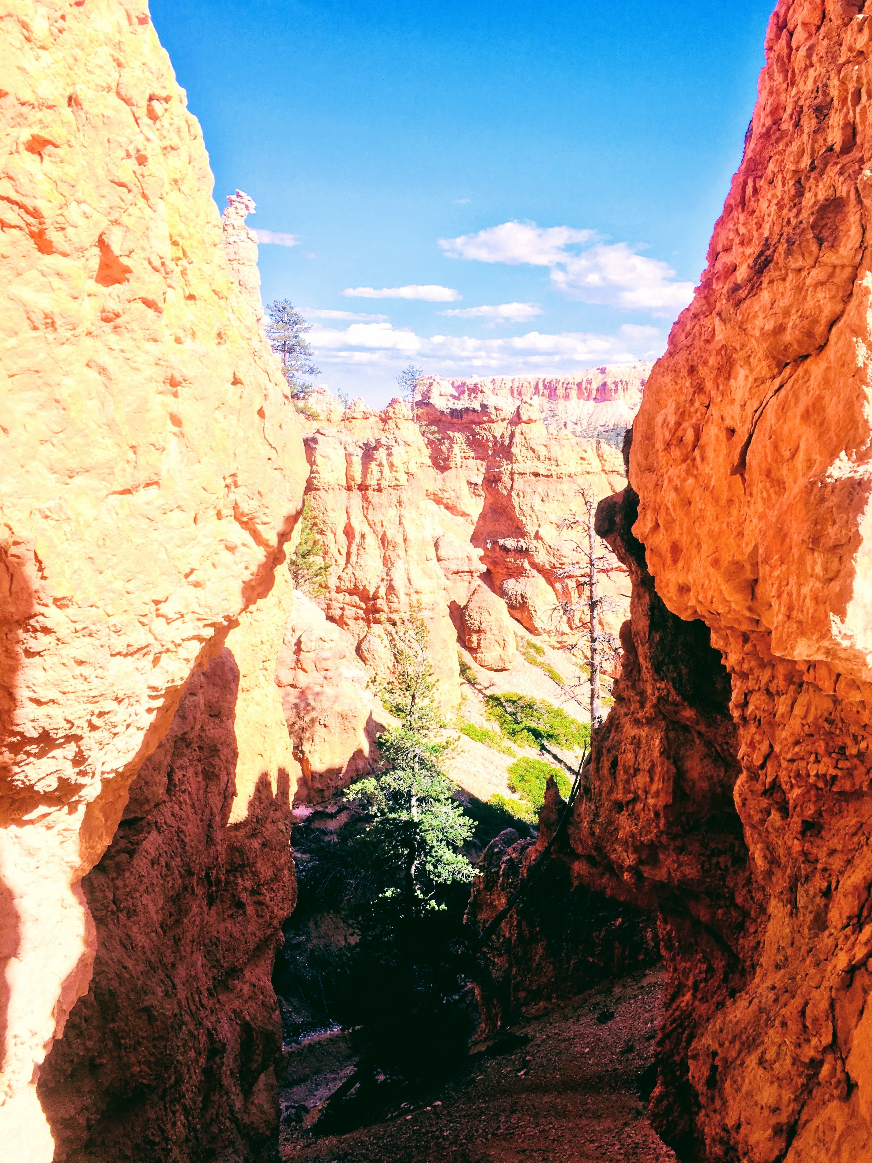Wall Street Loop in Bryce Canyon
