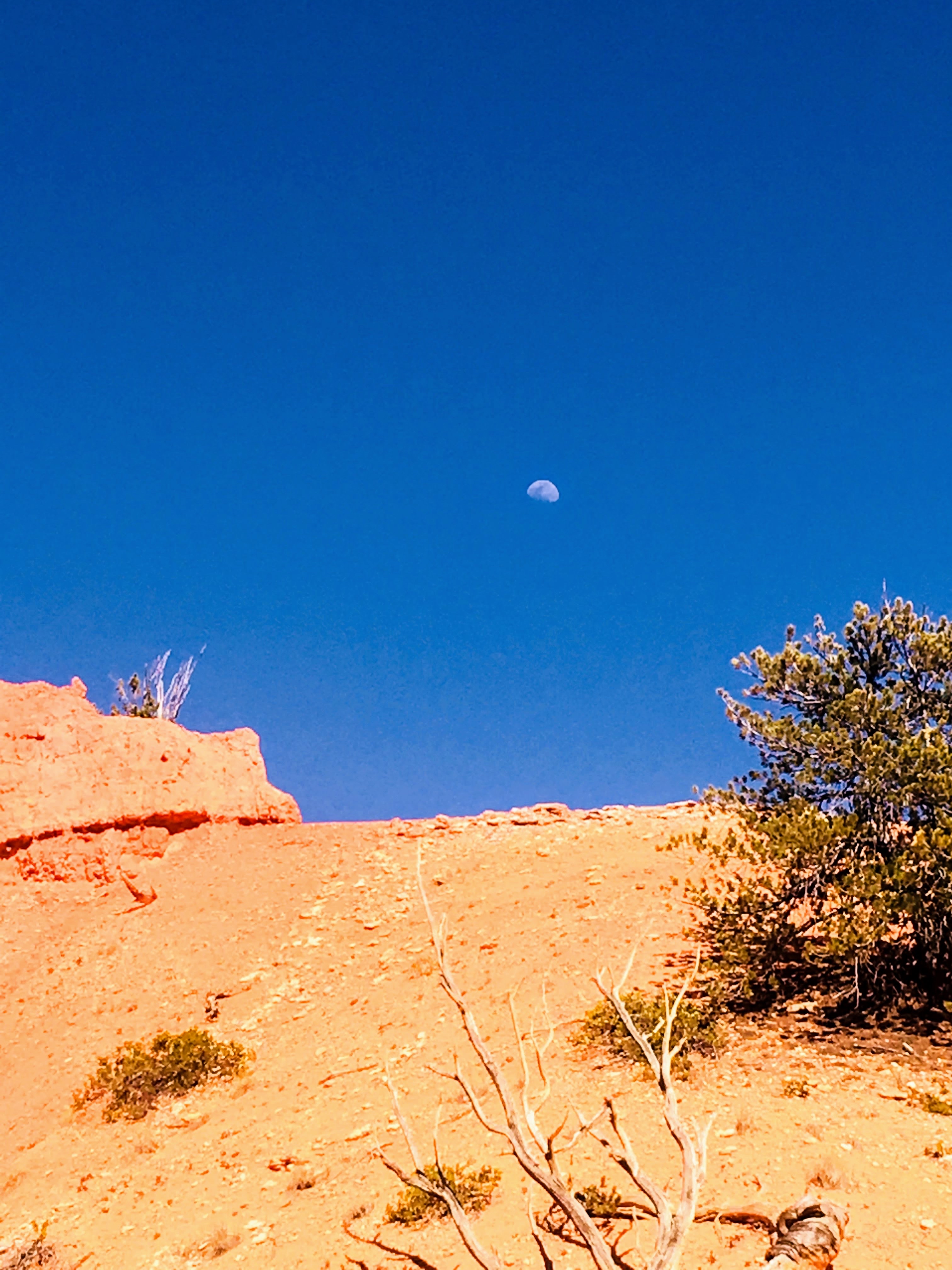 Wall Street Loop in Bryce Canyon